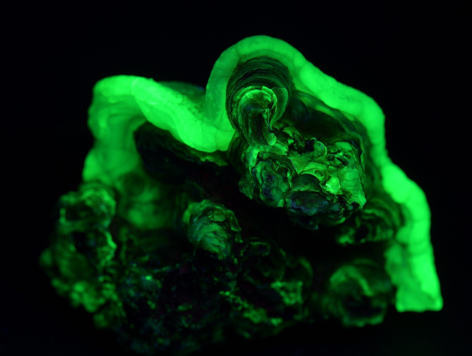 Fire Agate-Chalcedony, fluorescent. Aguascalientes, Mexico. 93 grams.