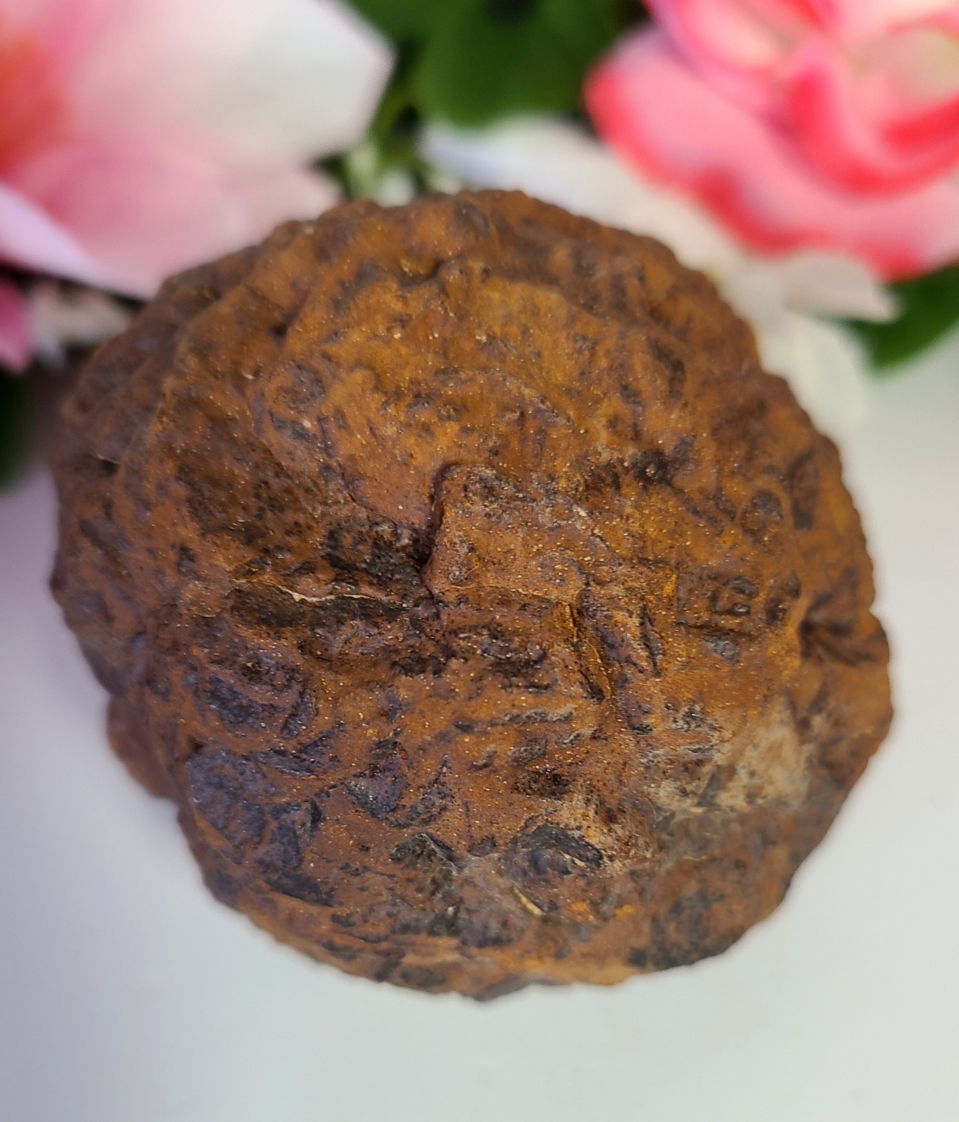 XL 2.4″ 273g Prophecy Stone Z “Golden Meteorite” Egyptian 3rd Eye Meditation