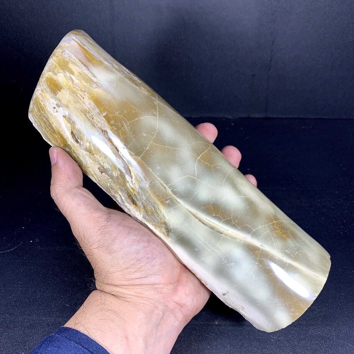1400Gr Natural Log Opalized Petrified Wood Natrolite Specimen Opalized Polished