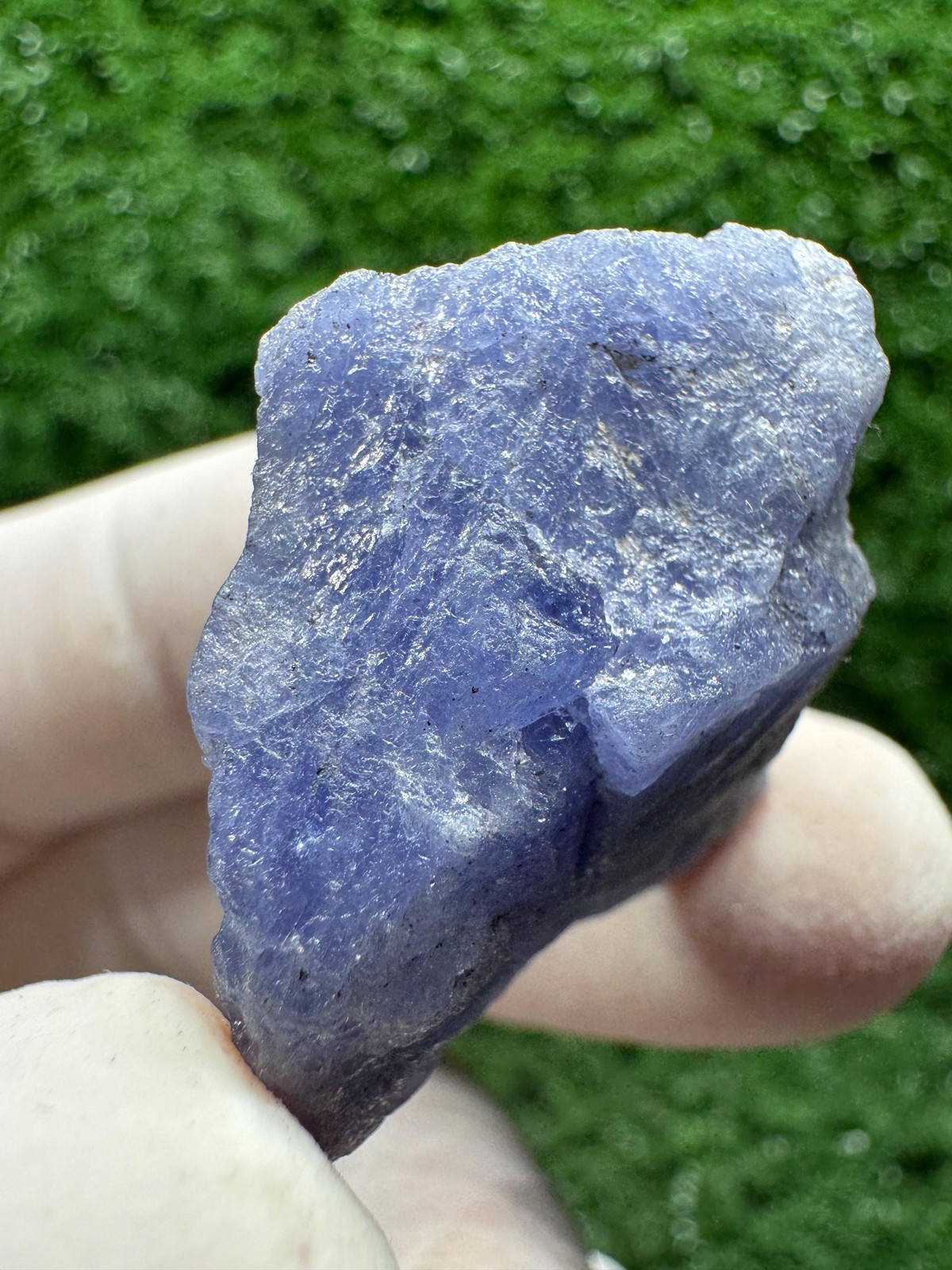 TANZANITE Crystal with COLOR CHANGE under yellow/white light / F514