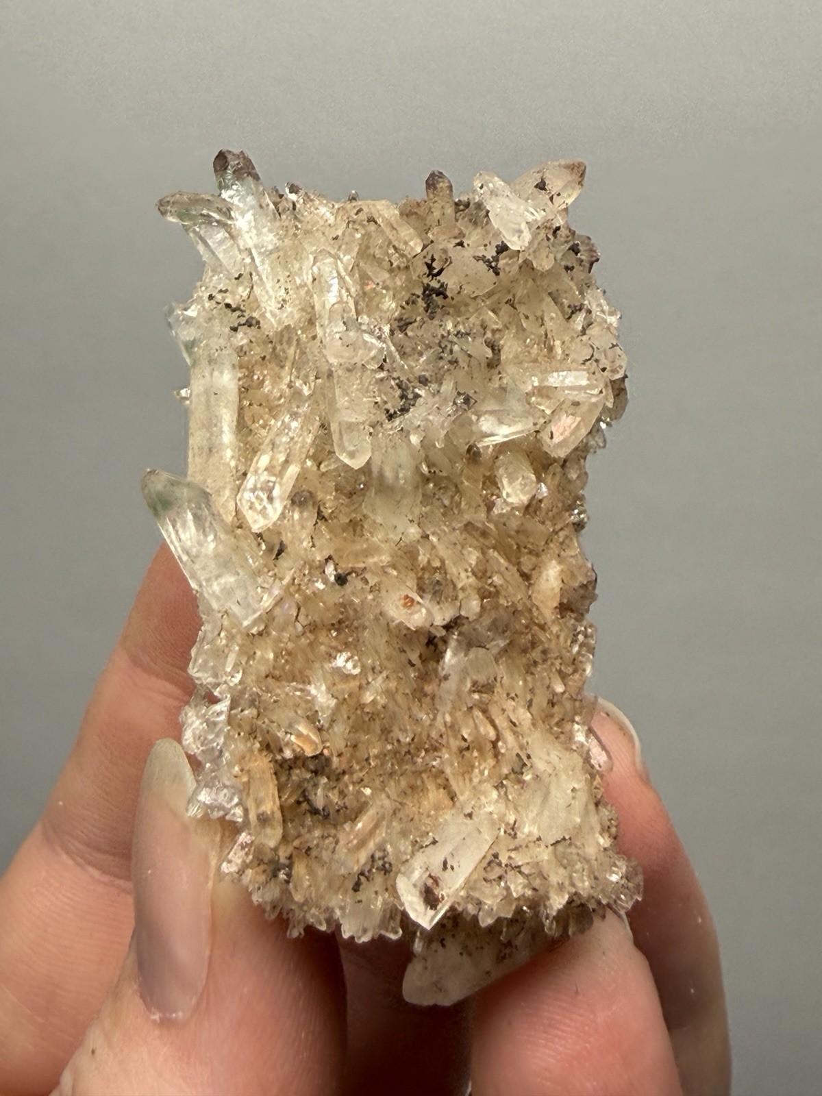 Himalayan Quartz Point Cluster on Matrix | Collector Mineral | India