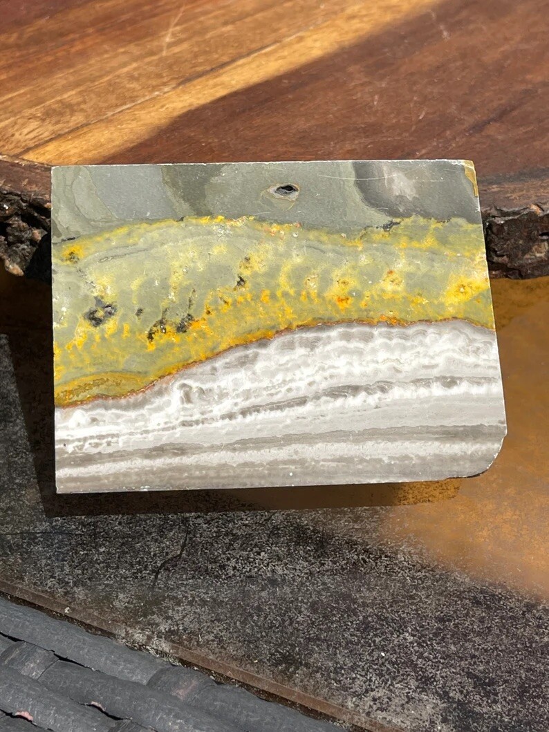 Natural Bumblebee Jasper Slab With Raw Edge Lapidary Stone Yellow Grey Crystal