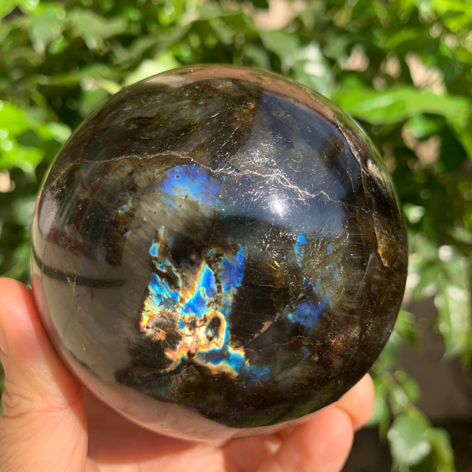 1.92LB Natural gorgeous Labrador ball quartz crystal stone specimen healing