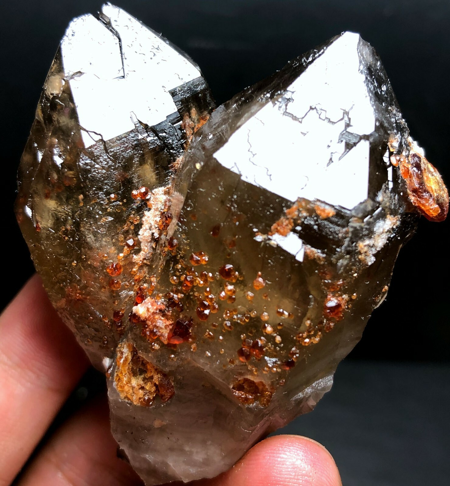144g Brand new Rare Black SMOKY QUARTZ Crystal Point &Garnet Spessartine f193