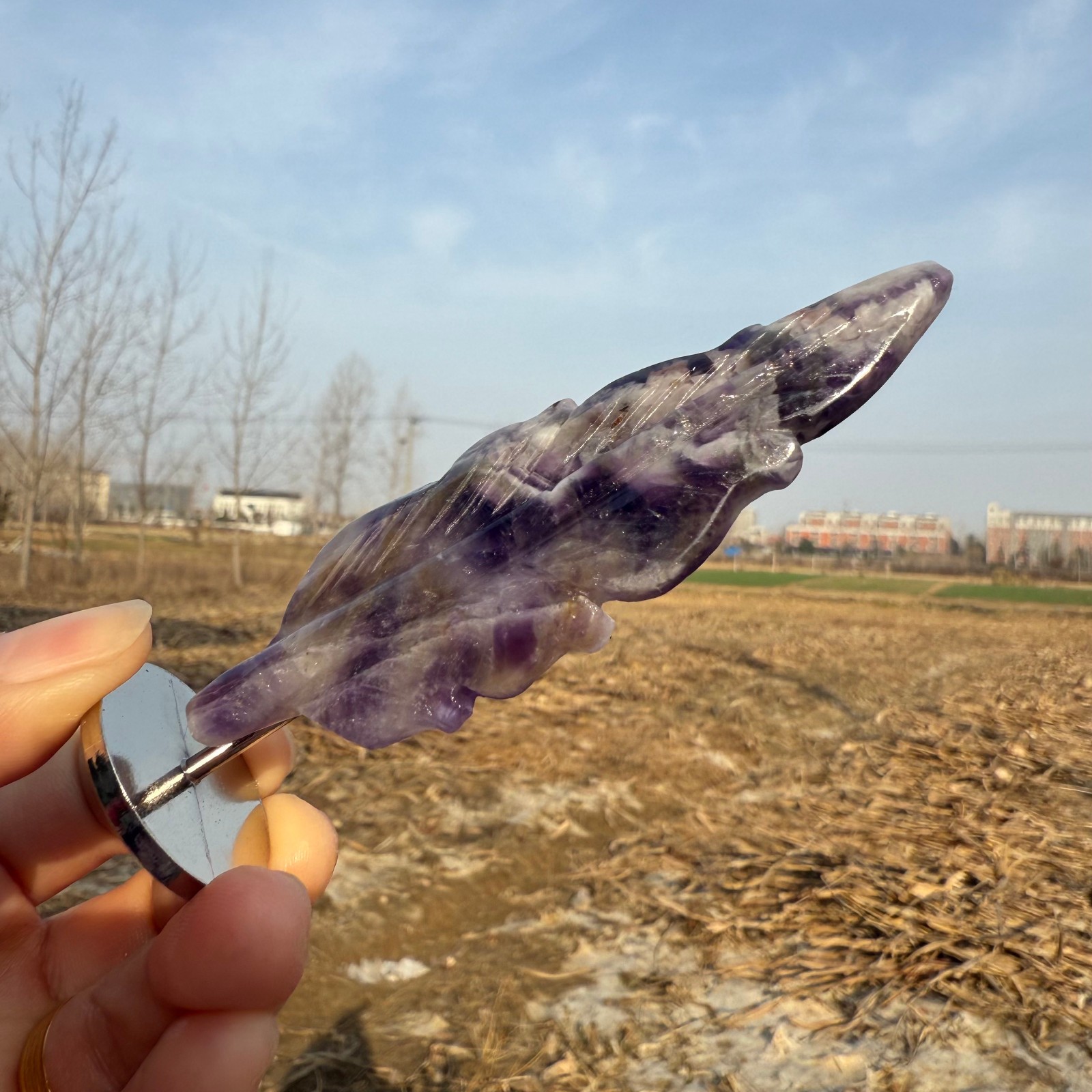 3.6″Natural Dream Amethyst hand carved Feathers Quartz Crystal heal Gift 1pc