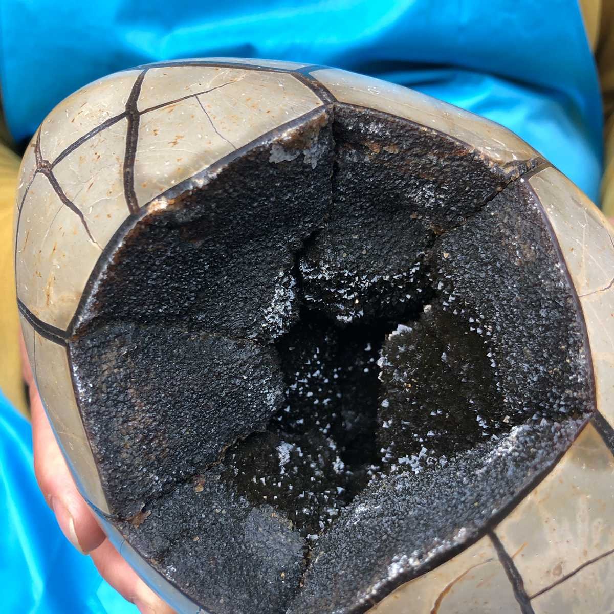 3290G Natural Turtle Back Stone Dragon Crystal Cave Crack Gem Healing 4351
