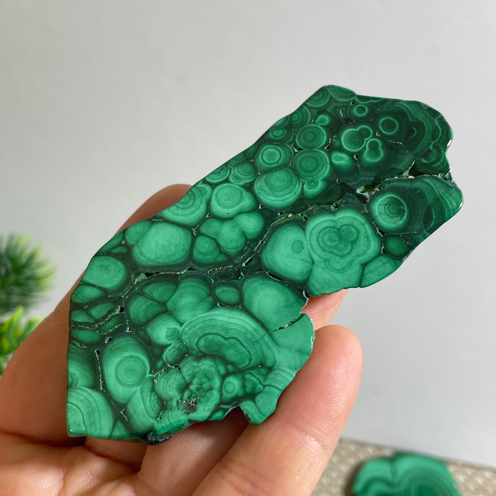 50g Genuine Malachite Crystal Slice Slab, Home Decor, Quartz Crystal Polished