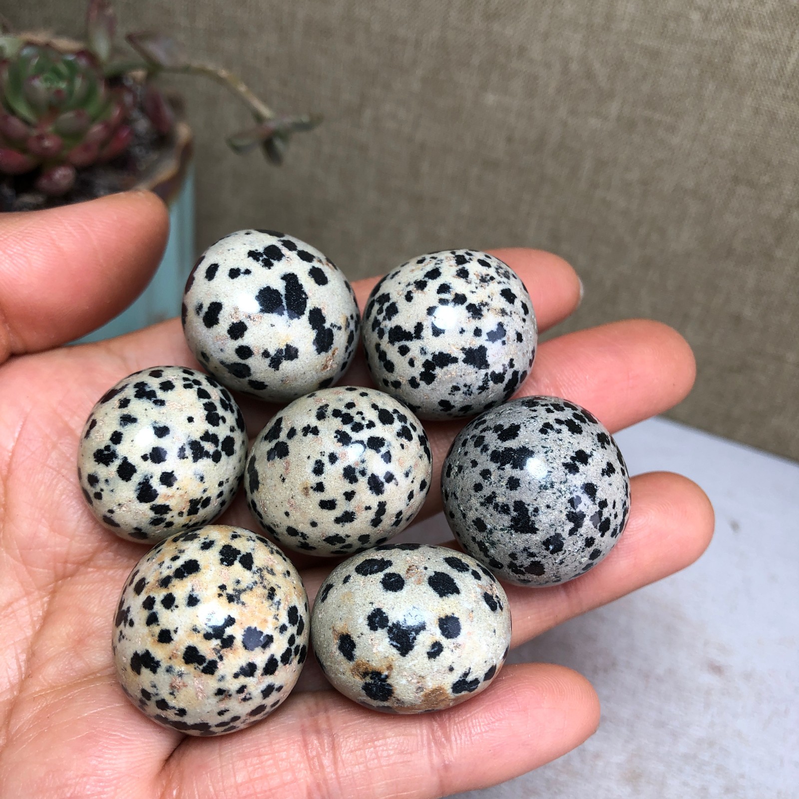 7pcs Natural Yellow spotted stone semi-precious Crystal specimens 119g A3584