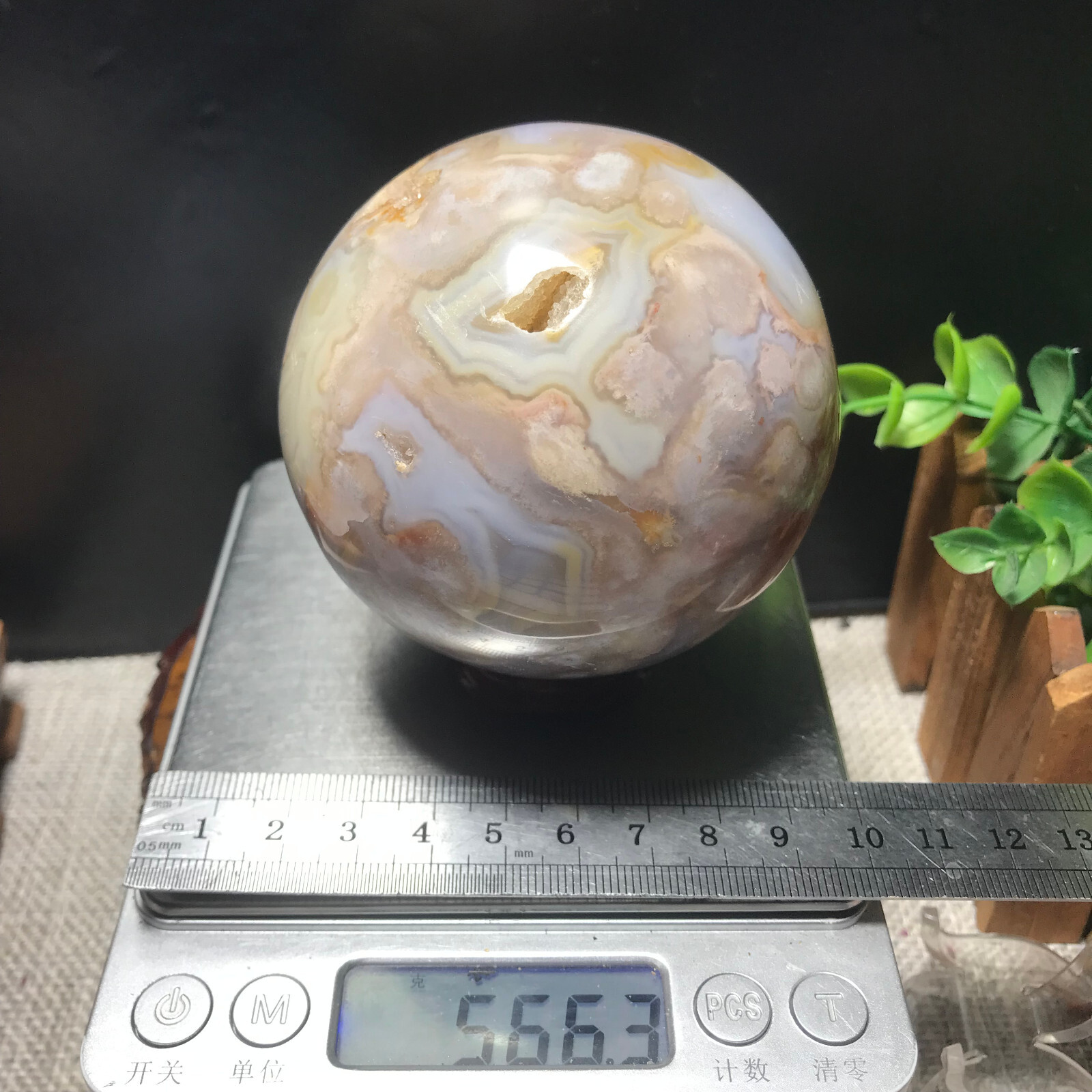 566g 73mm Sakura Agate Cherry Blossom ball Quartz Crystal Healing 242