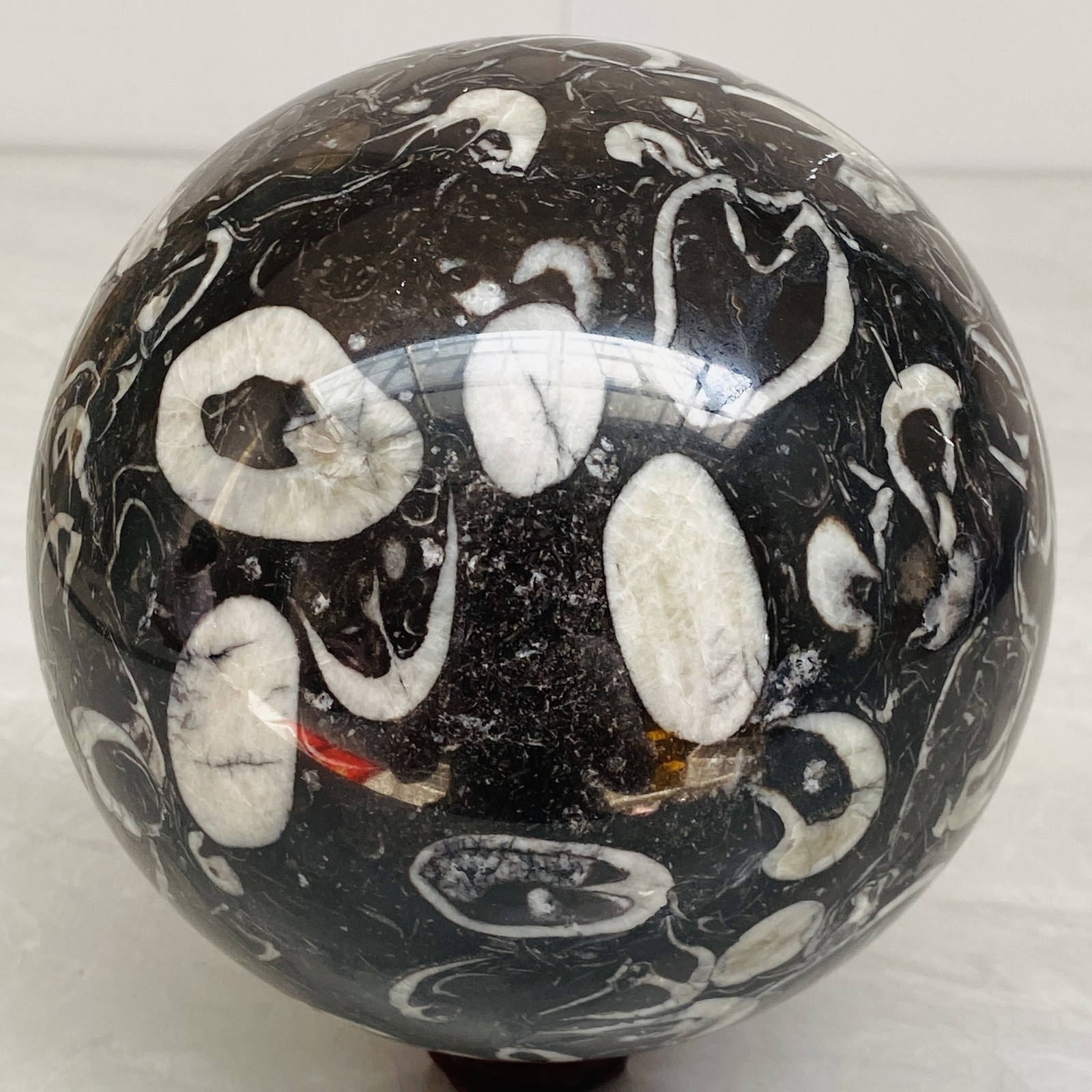 Natural Shell Jasper Thousand Eye Stone Crystal Polished Ball Healing (9.34LB)