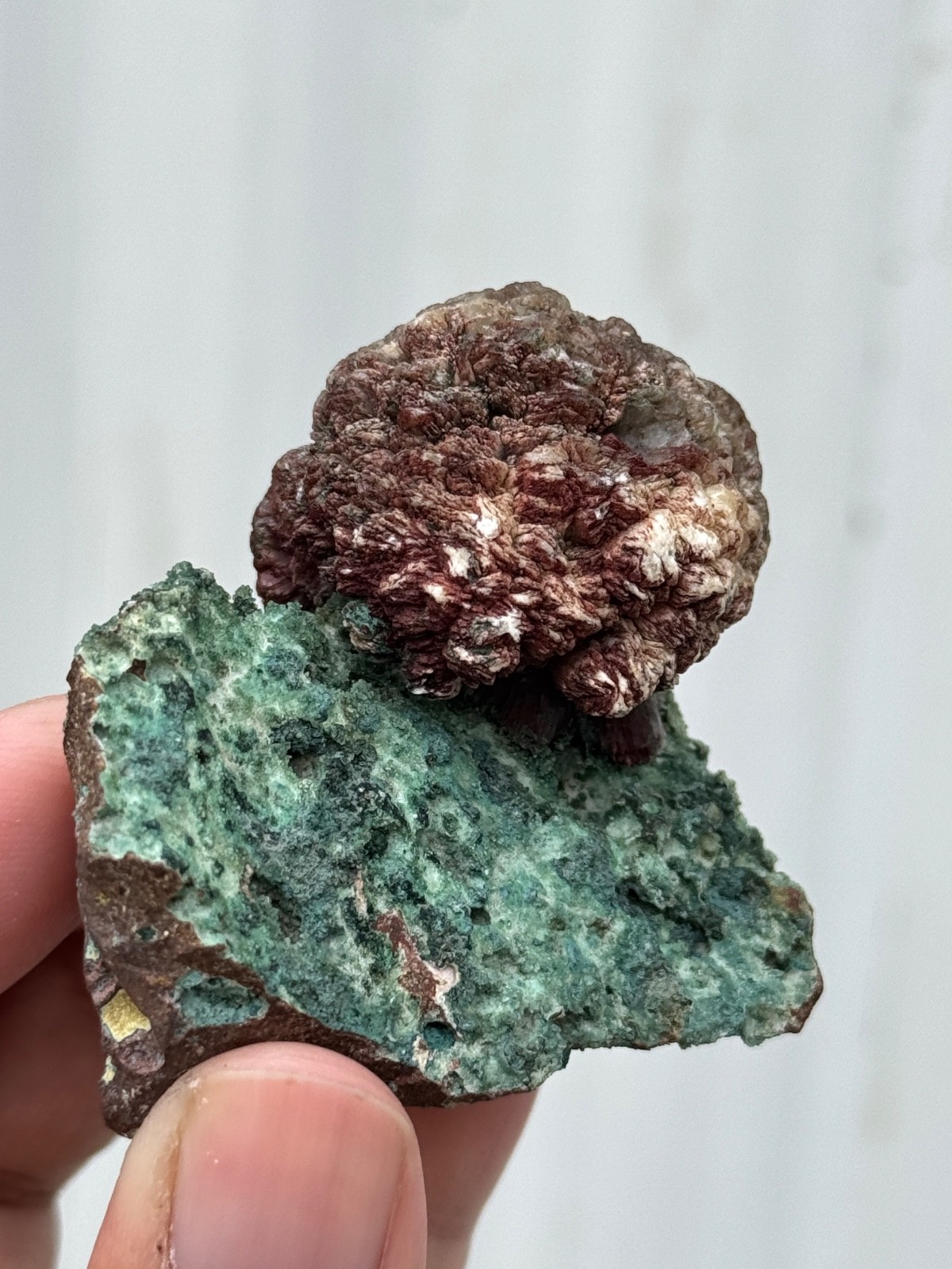 Red Stilbite on matrix Natural Mineral specimen