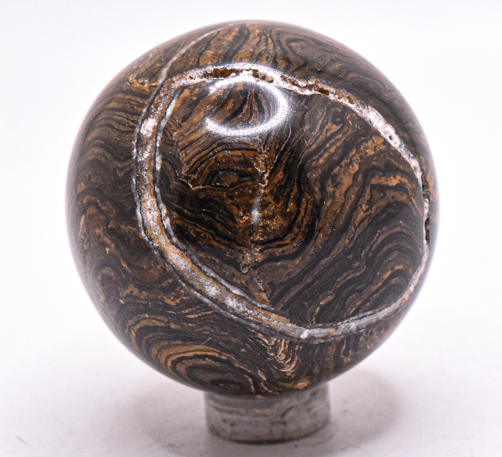 46mm Waved Stromatolite w/ Small Druzy Algae Fossil Mineral Sphere Ball – Peru