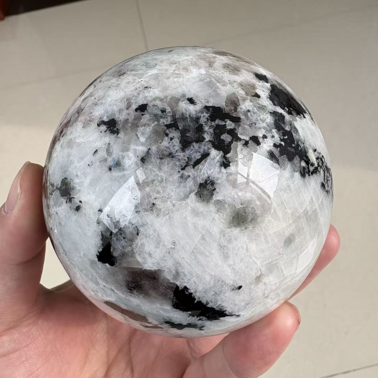 2.2LB 3.5″ Natural Black And White Moonstone Sphere Crystal Ball Healing