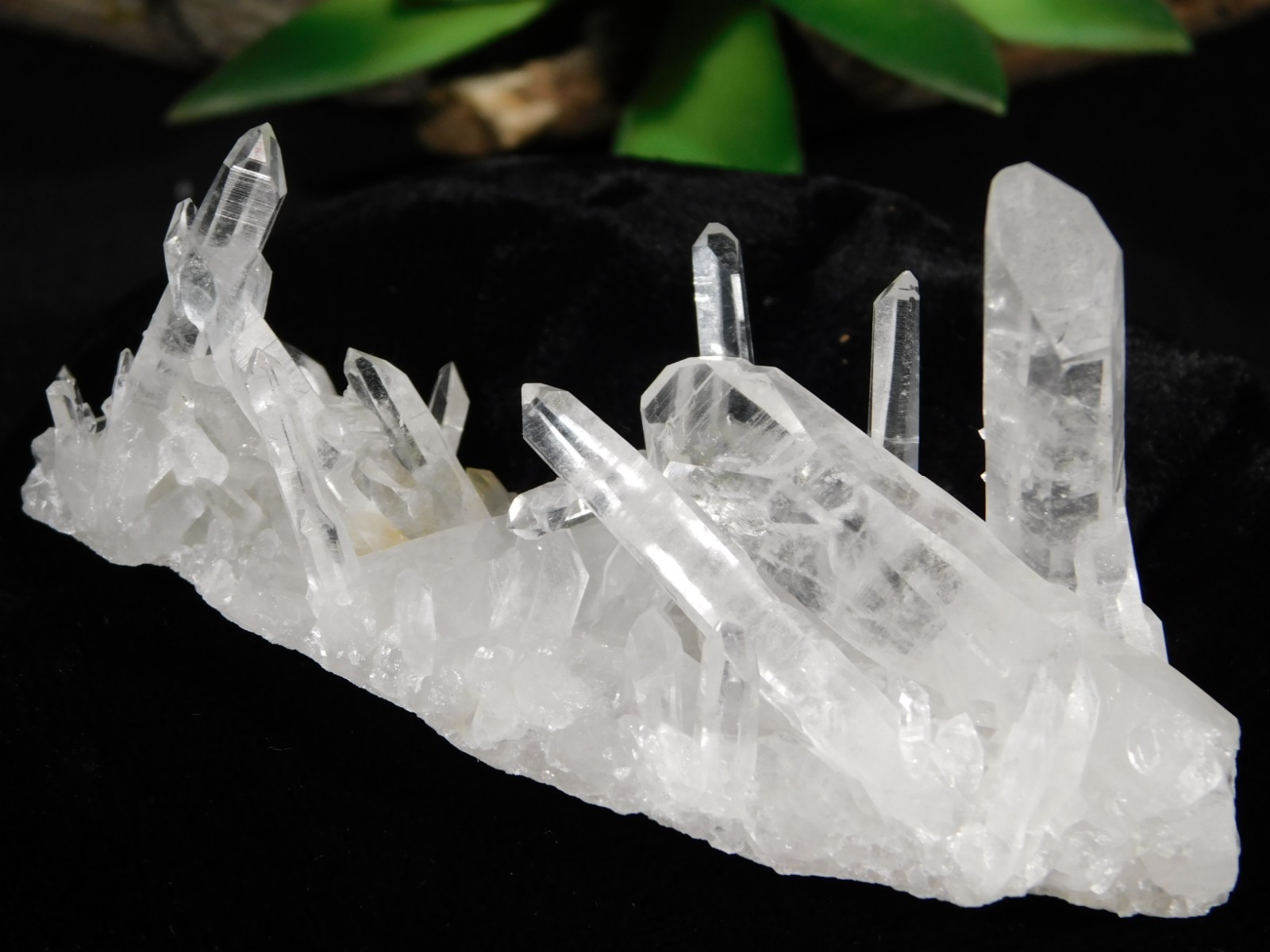 VERY TRANSLUCENT! Quartz Crystal Cluster Collier Creek ARKANSAS 61.5gr