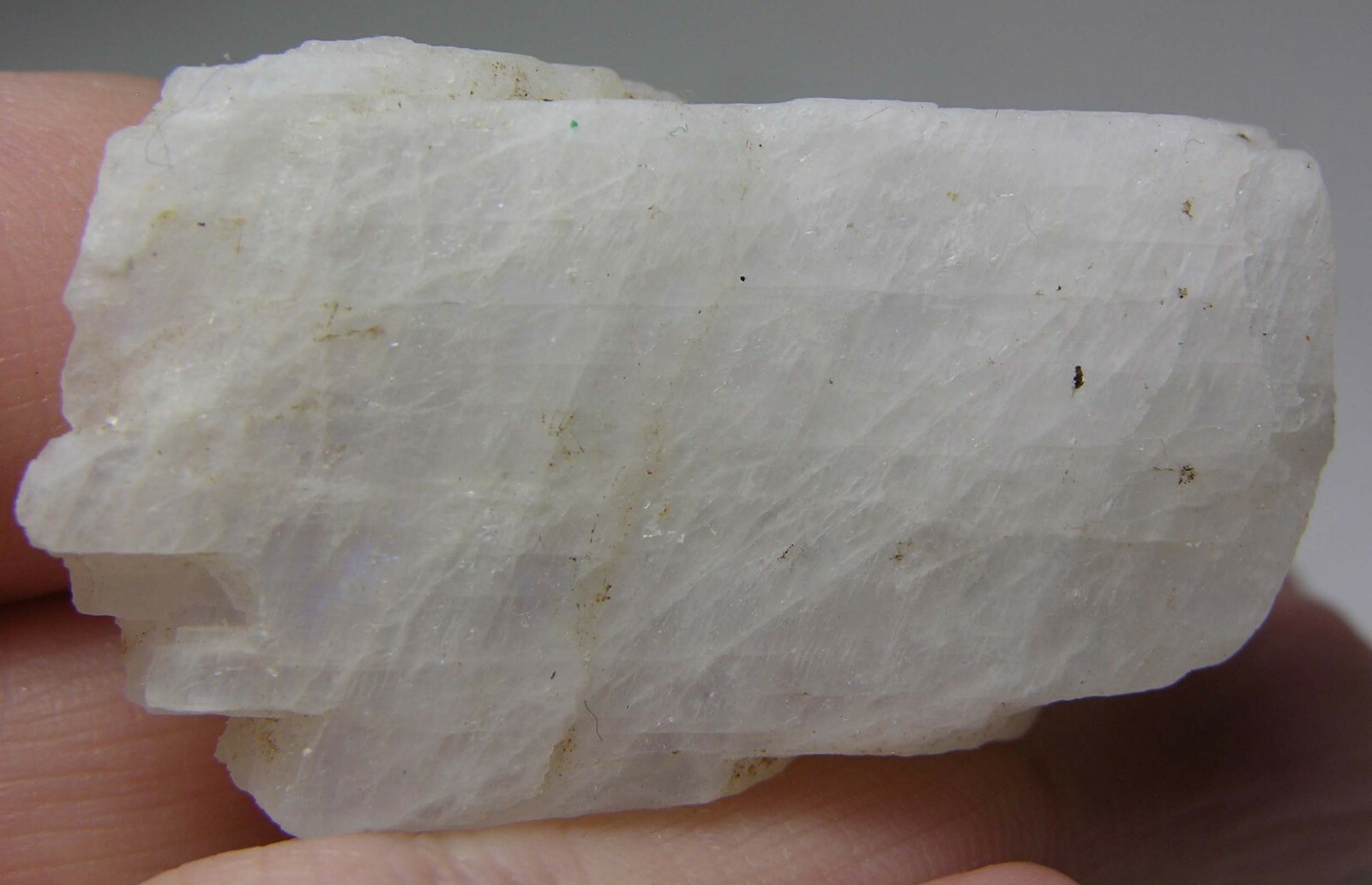 #1 Sri-Lanka 135.00ct 100% Natural Rough White MoonStone Specimen 27.00g 43mm