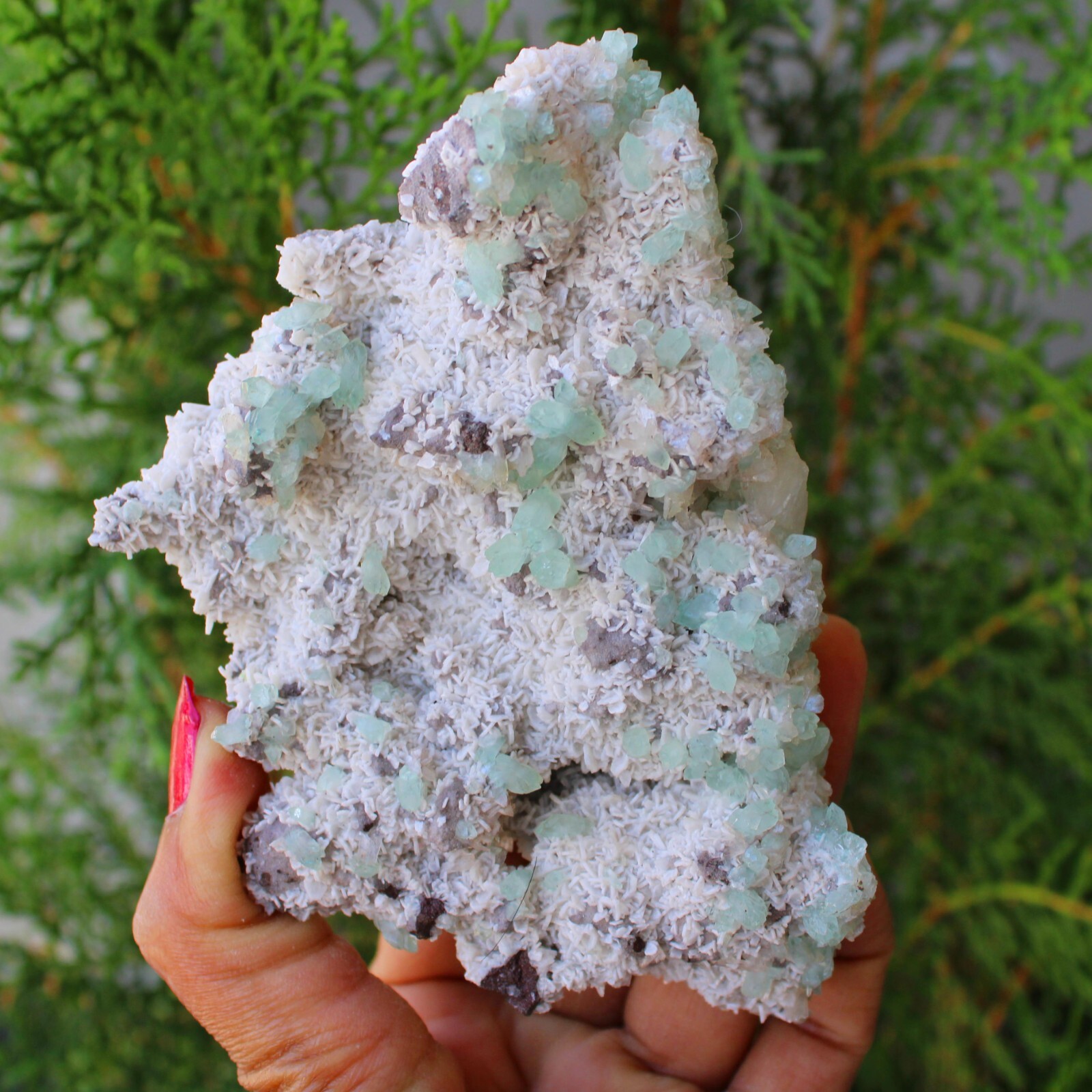 Green Apophyllite Crystals On Matrix Natural Minerals Specimen ( 12×8 Cm’s)