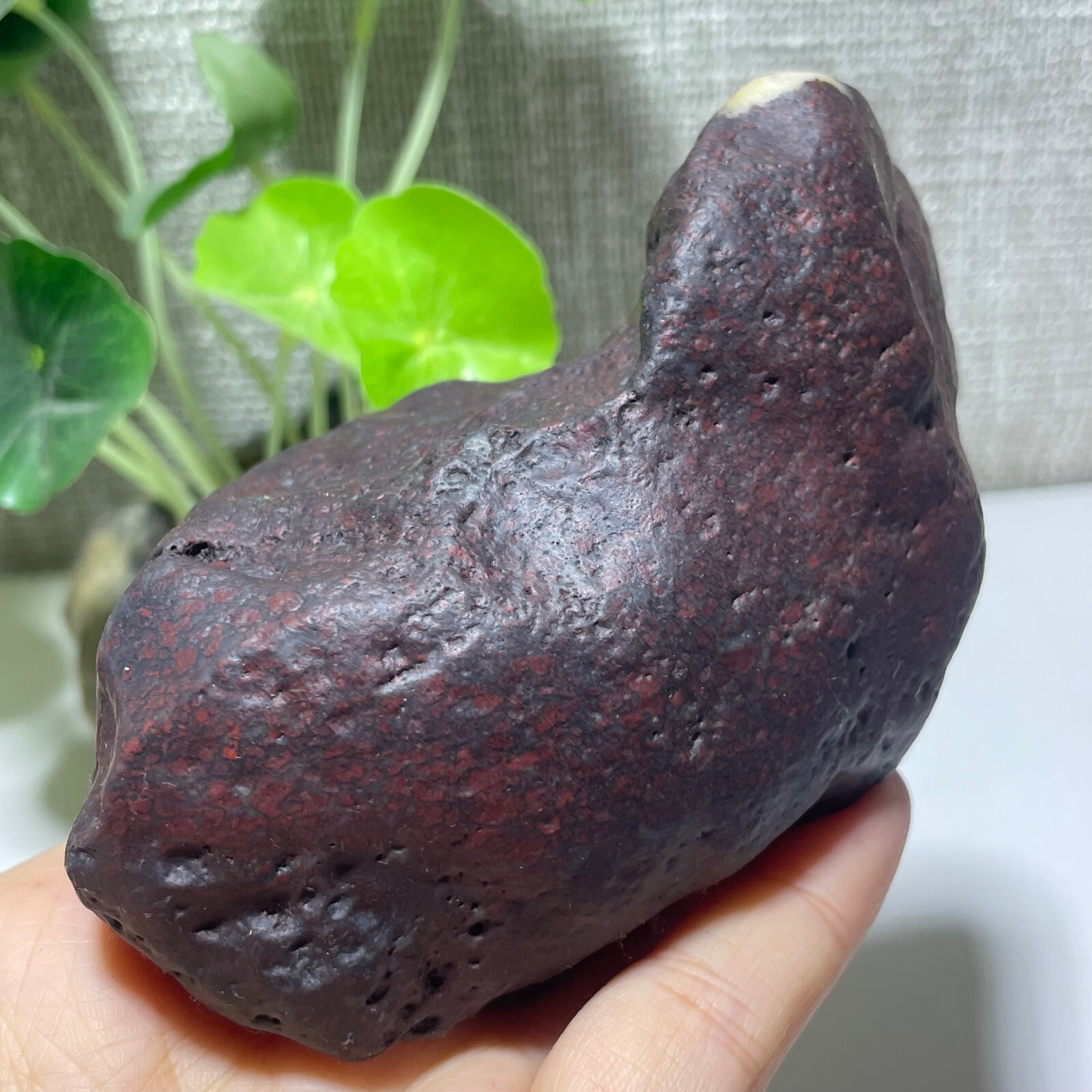492g Natural Iddingsite meteorite specimen raw stone from China a7789
