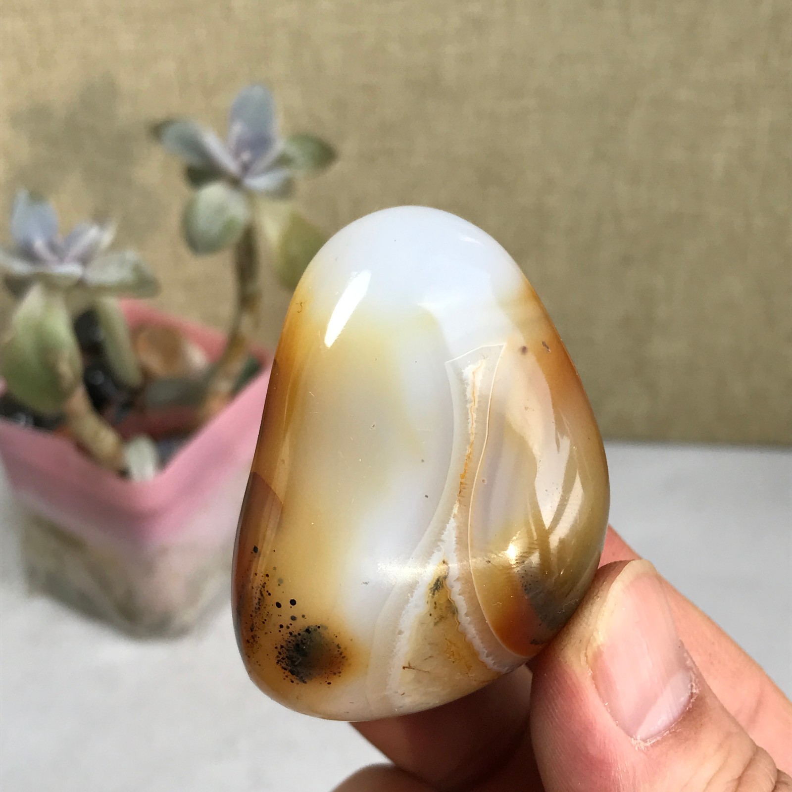 54-38-27mm Natural aquatic plants agate pretty Crystal specimens 79g A2379