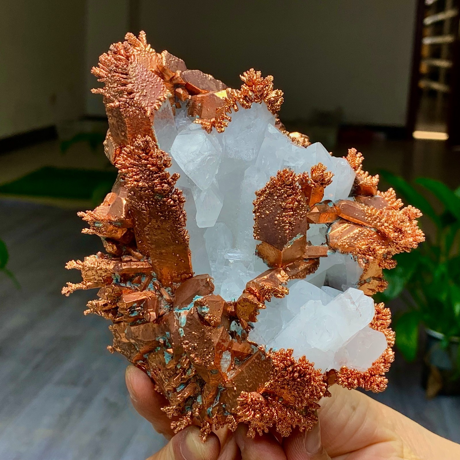 2.44LB Rare iridescent Native Copper with white quartz crystal mineral-symbiosis