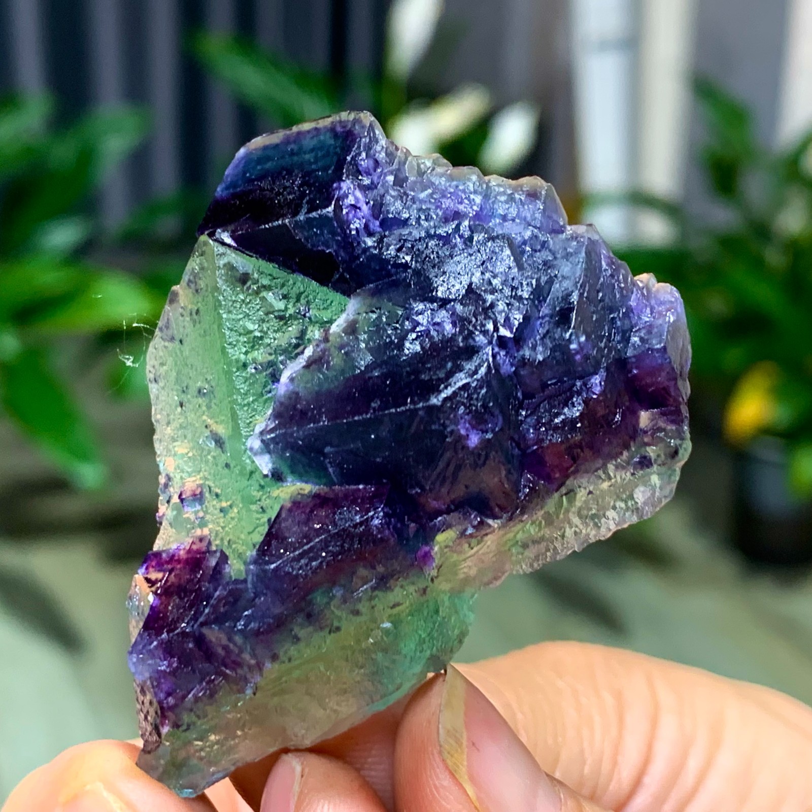 50G Rare transparent green purple cubic Zhejiang fluorite mineral sample