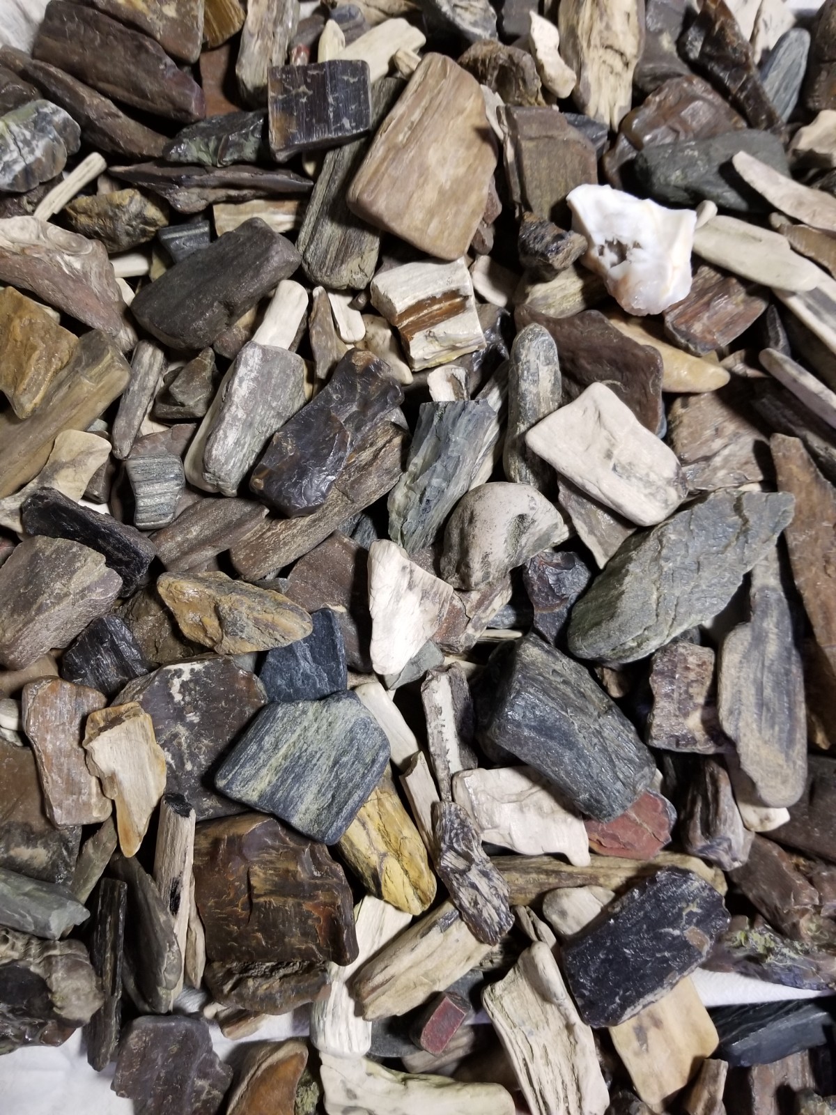 Rough Petrified Wood Stones for Tumbling Bulk Mix from Nebraska 2 lb Lot