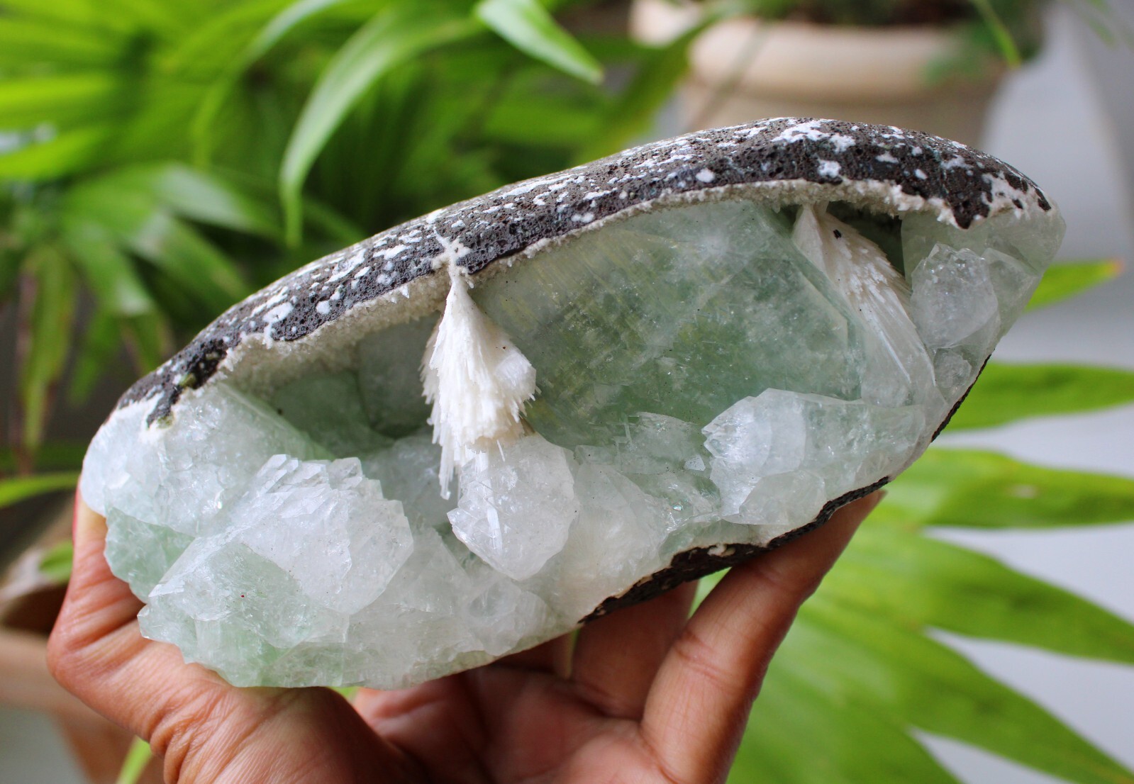 Green Apophyllite Crystals With Scolecite In Geode Minerals Specimen #M72
