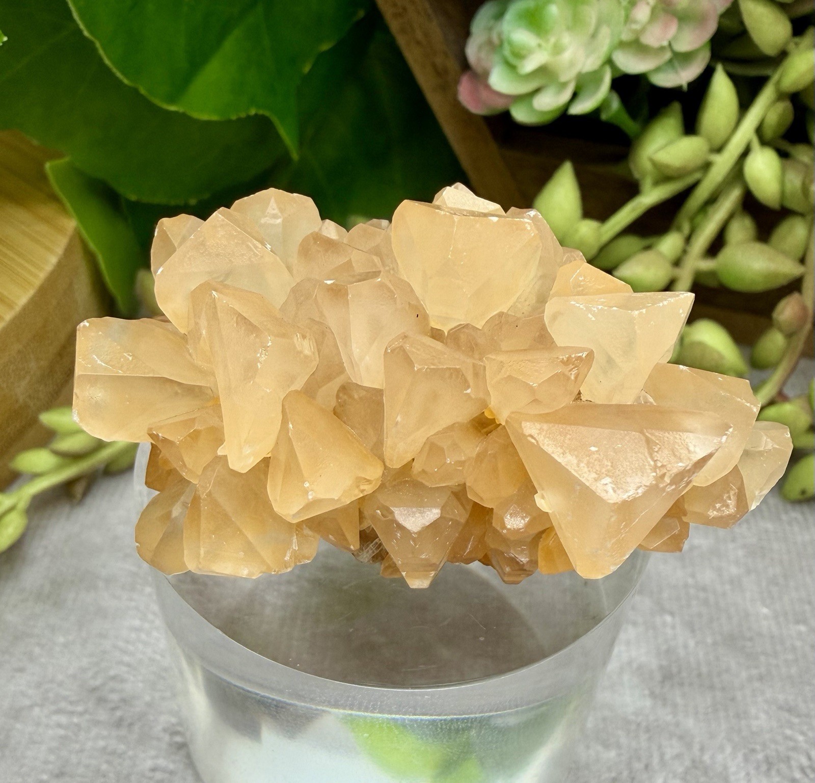Crystal 56g Peach Wolf Tooth Calcite Specimen Cluster Mineral Raw