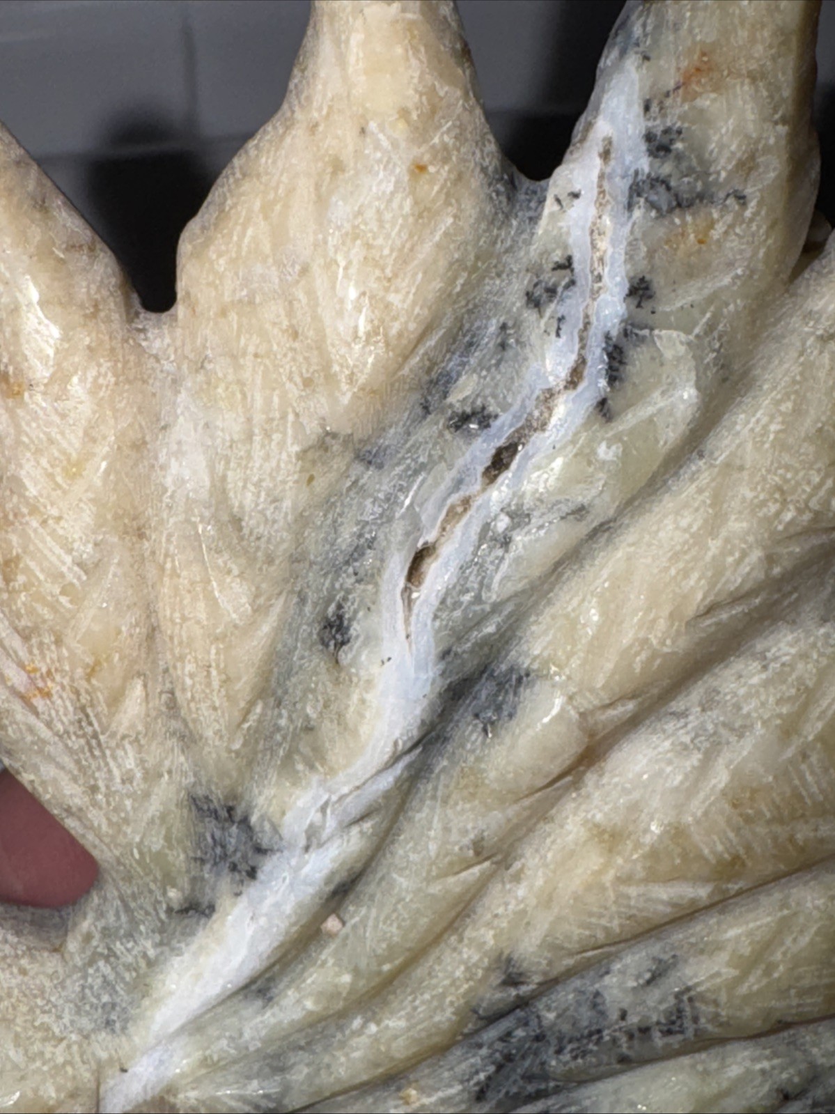 Dendritic Agate Nine Tail Fox. Some Points of The Tail Are Irregular See Photos