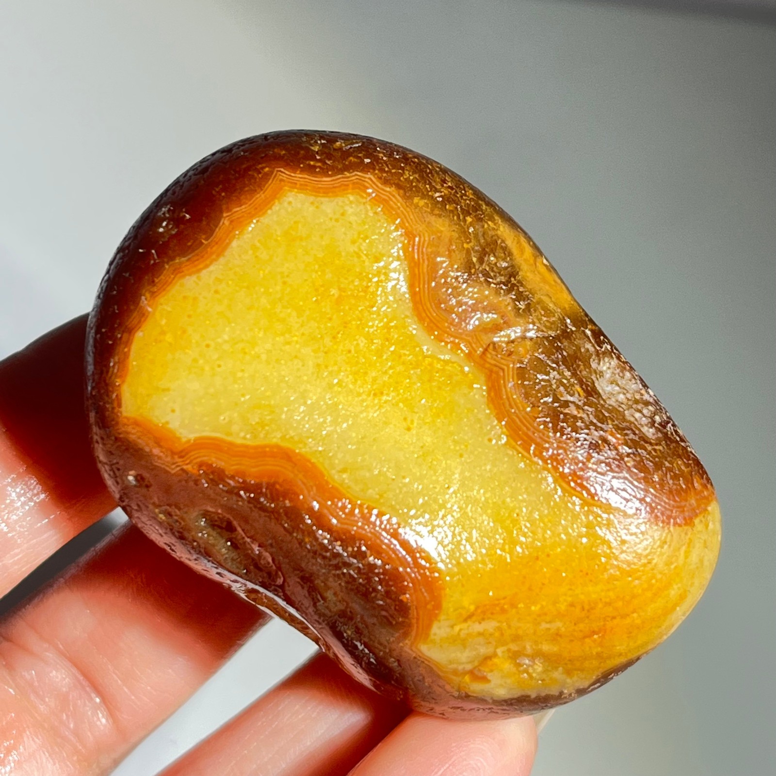 106g Bonsai Suiseki-Natural Gobi Agate Eyes Stone-Rare Stunning Viewing
