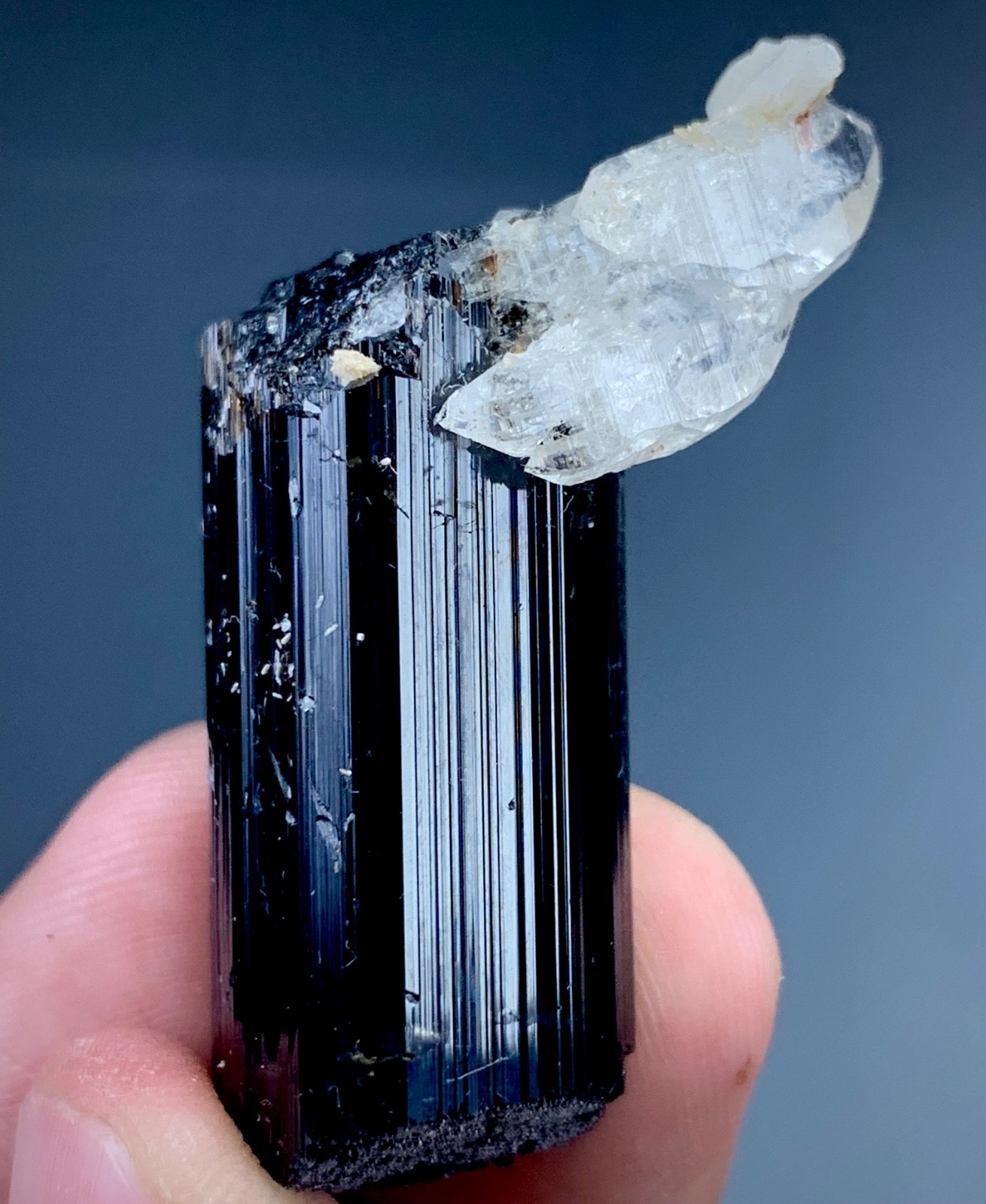 Natural Black Tourmaline With Quartz Crystal Specimen From Pakistan (113carats )