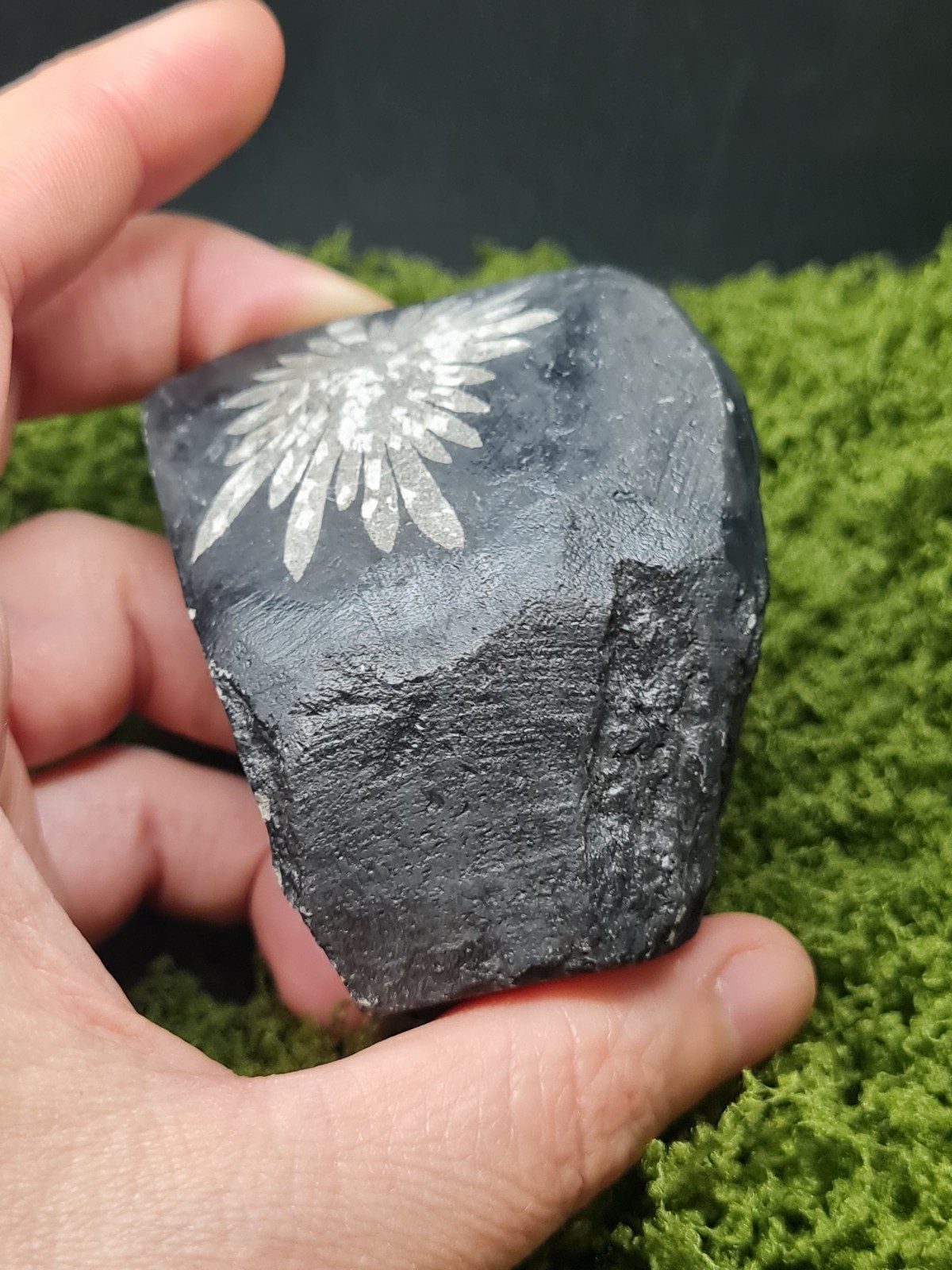 Rough Chrysanthemum Stone Specimen – Natural Flowerstone Crystal Display – 106g