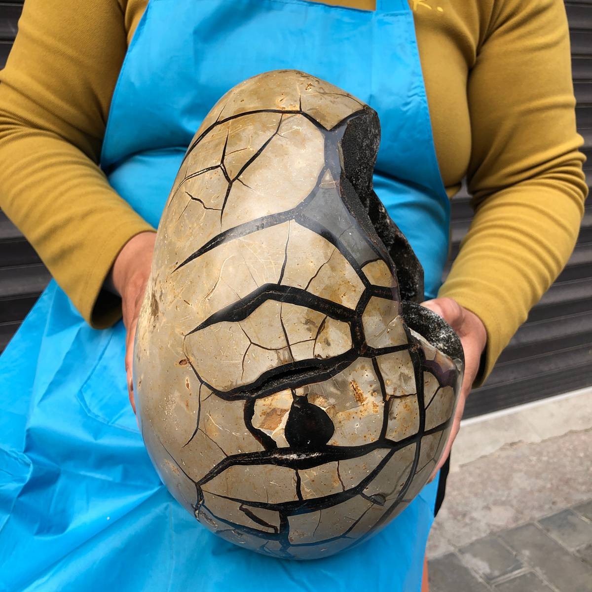 12.3KG Natural Turtle Back Stone Dragon Crystal Cave Crack Gem Healing 4350