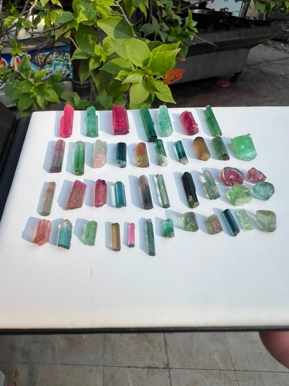17.50GM | Natural Multi Colors Tourmaline Crystals Rough Specimen | Afghanistan