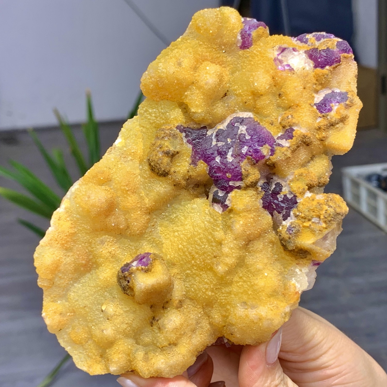 1.17LB Yellow crystal coexisting purple fluorite mineral- Inner Mongolia, China