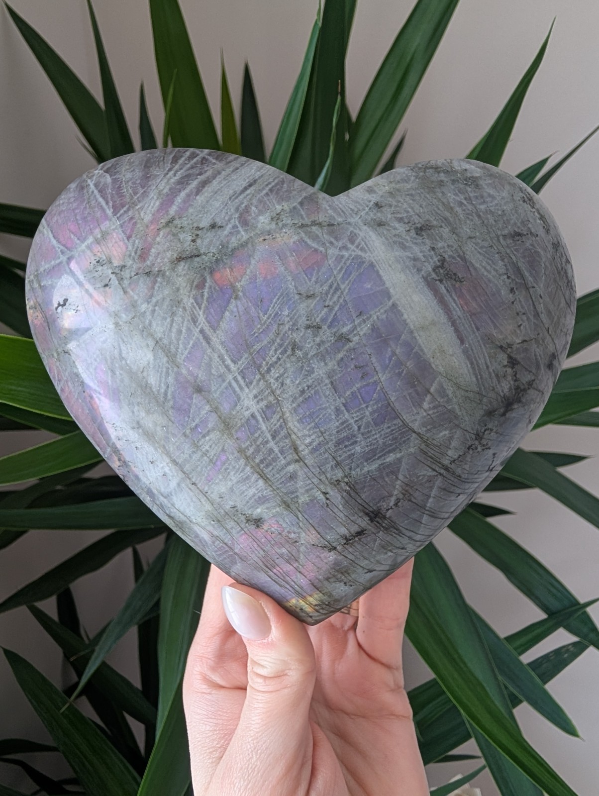 Purple Labradorite Heart Carving Crystal Gemstone Large Big Point Chakra Reiki