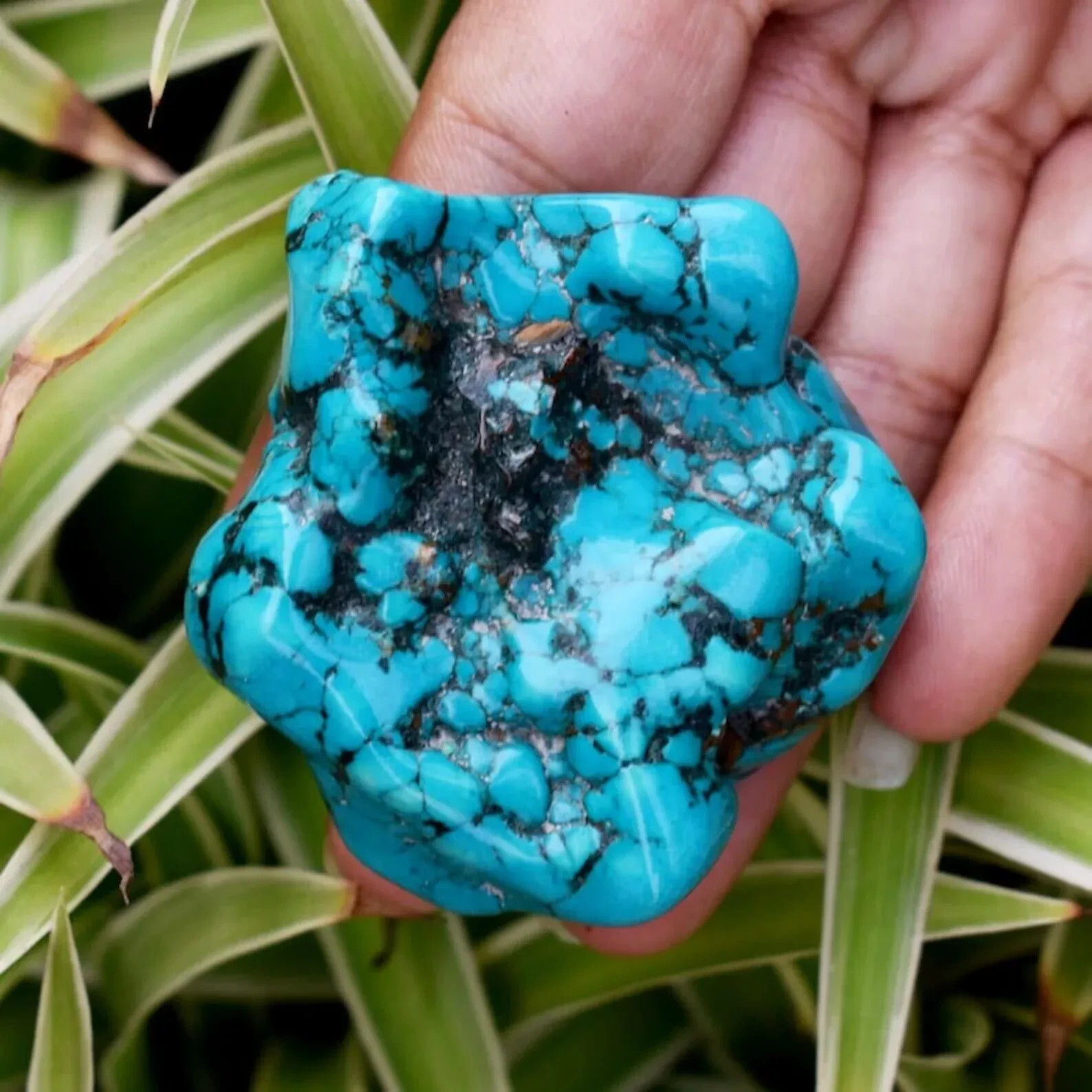 Natural Earth Mind 200-350 carat Tarquiose Rough Loose Gemstone Christmas sale