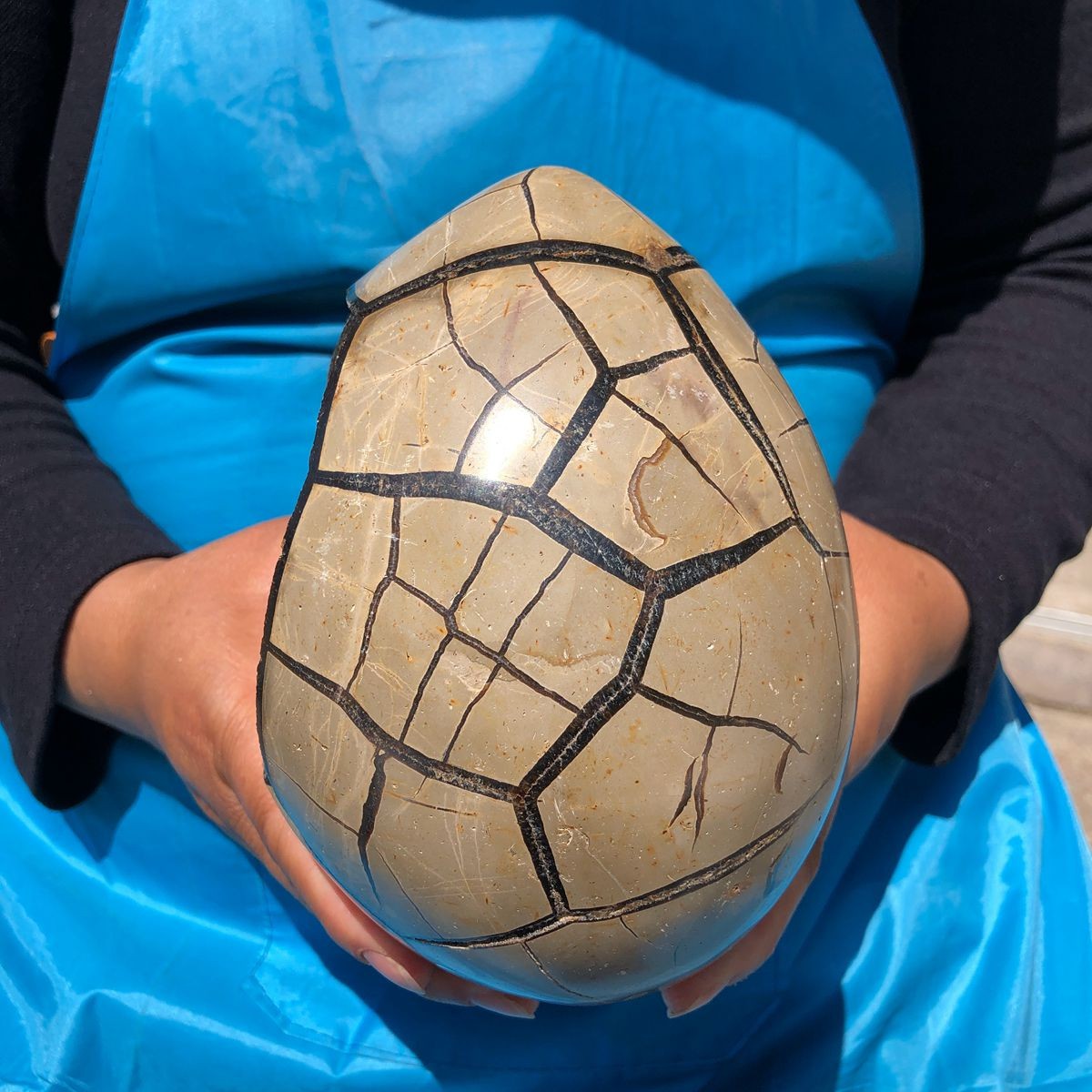 3410G Natural Turtle Back Stone Dragon Crystal Cave Crack Gem Healing 4338