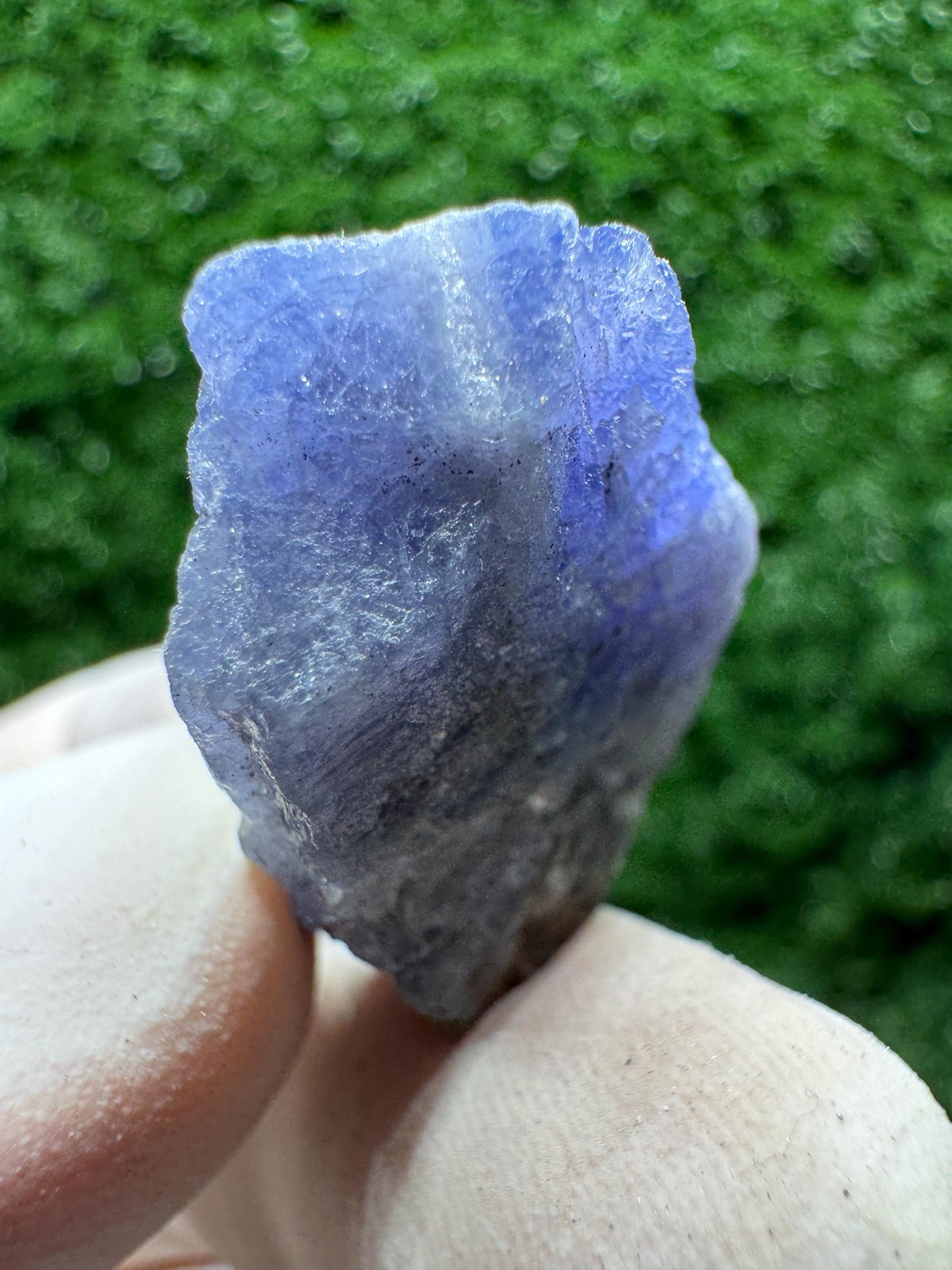 TANZANITE Crystal with COLOR CHANGE under yellow/white light / F525