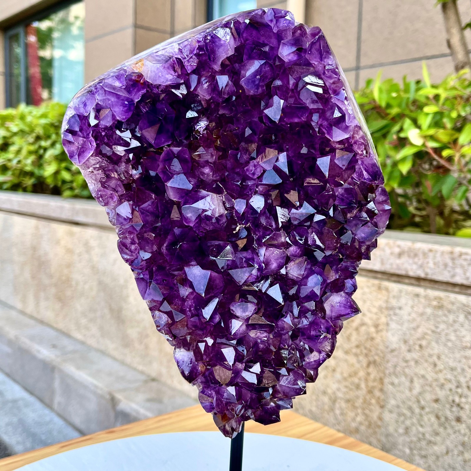 6.58LB Natural Brazilian high-grade amethyst thin skin large teeth