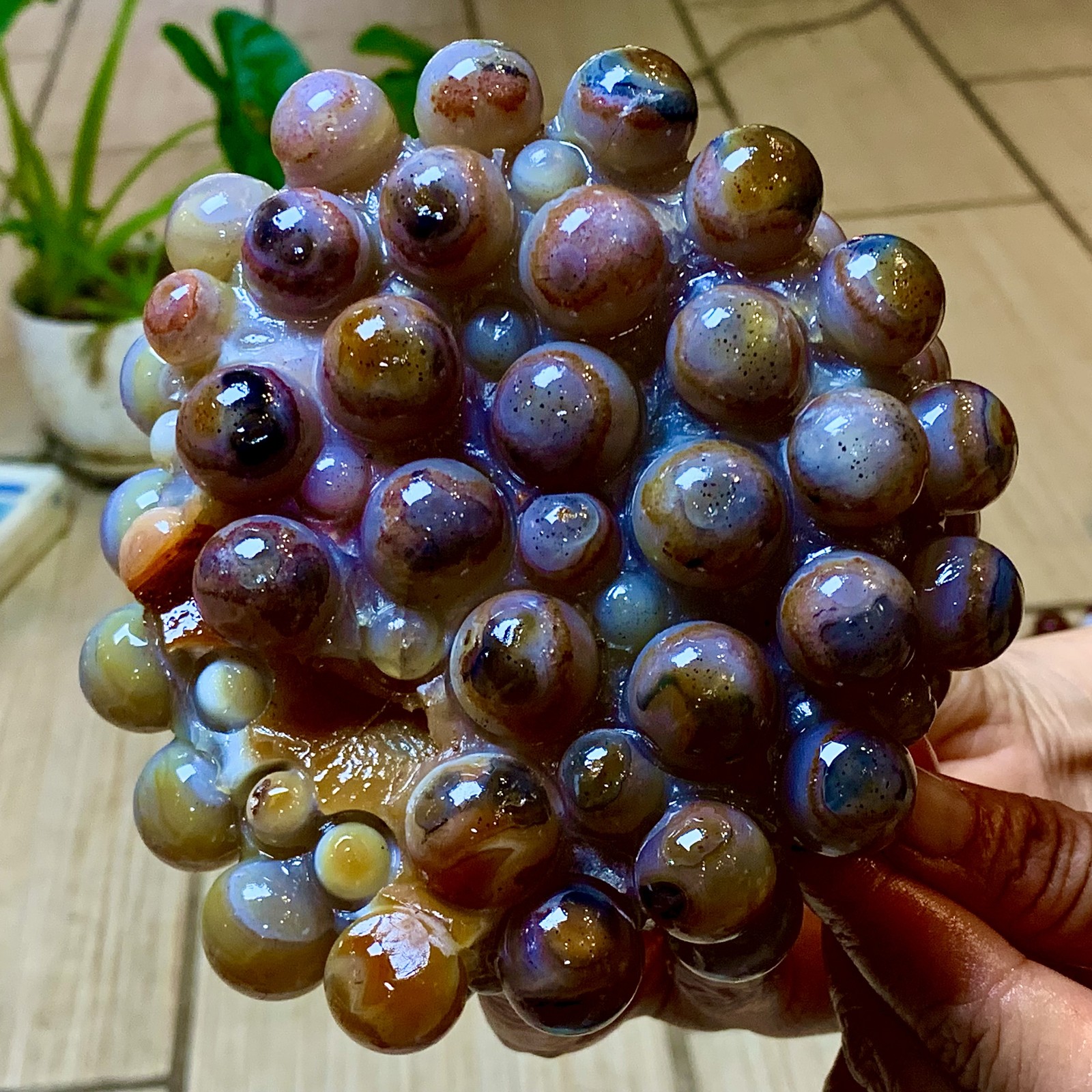 2.24LB Natural Gobi Agate Eye Agate grape shape Crystal Madagascar mineral