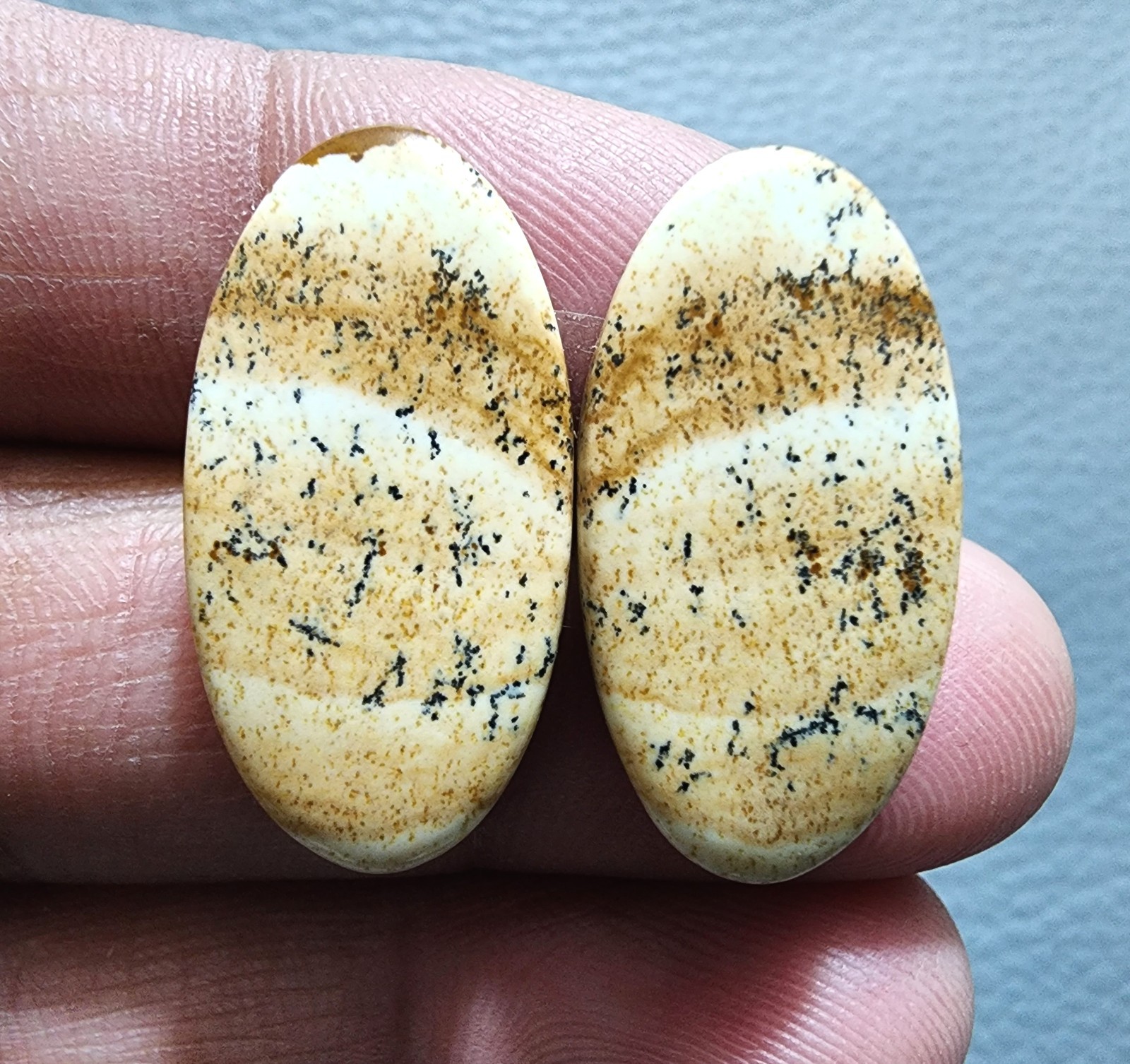 Beautiful Picture Jasper Oval Cabochon Matching Pair 29.70Cts Natural Gem