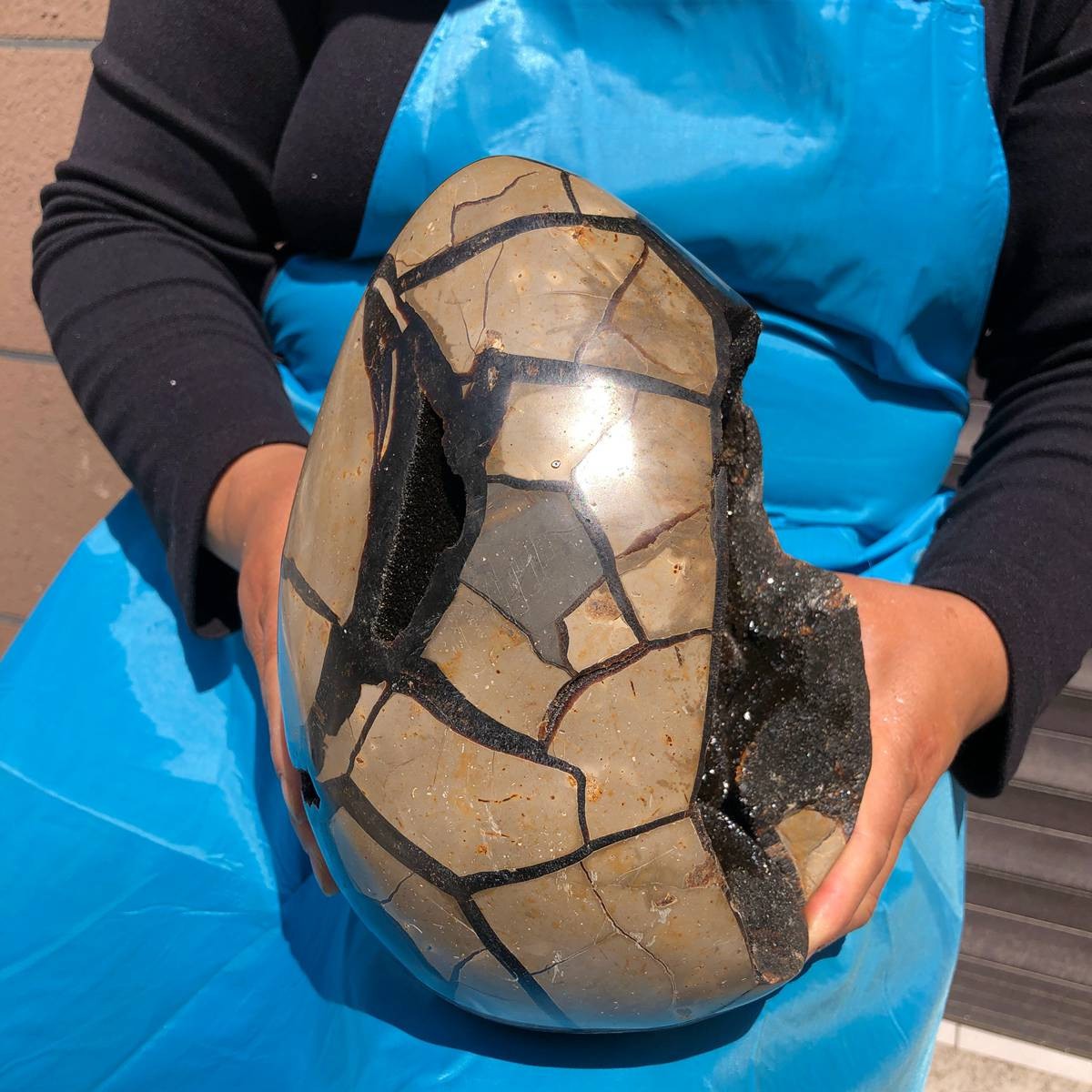 7550G Natural Turtle Back Stone Dragon Crystal Cave Crack Gem Healing 4345