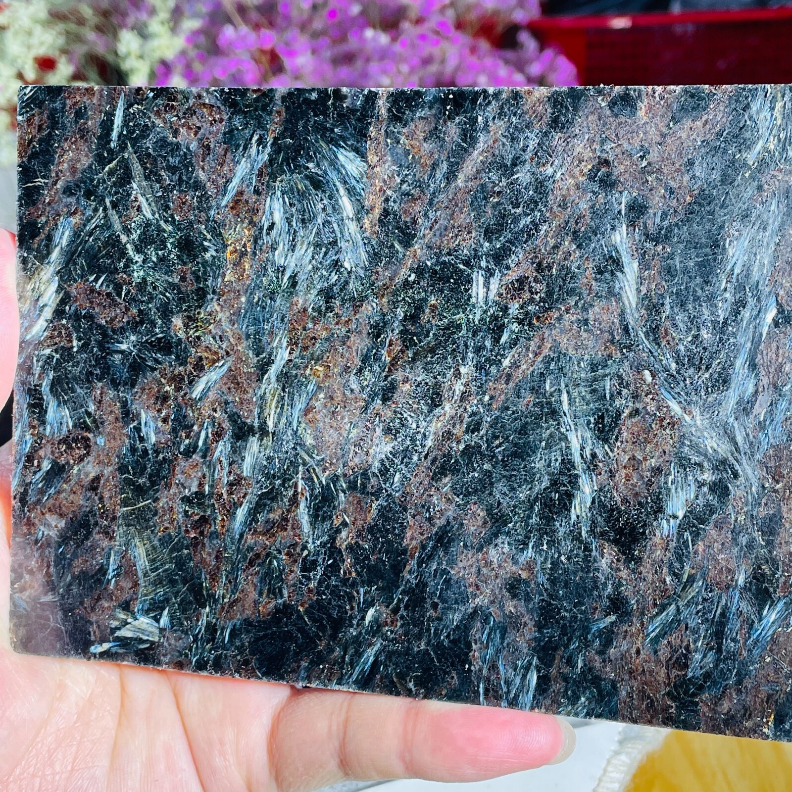 518g Natural Astrophyllite Fireworks Stone Quartz Slice Factory Wholesale