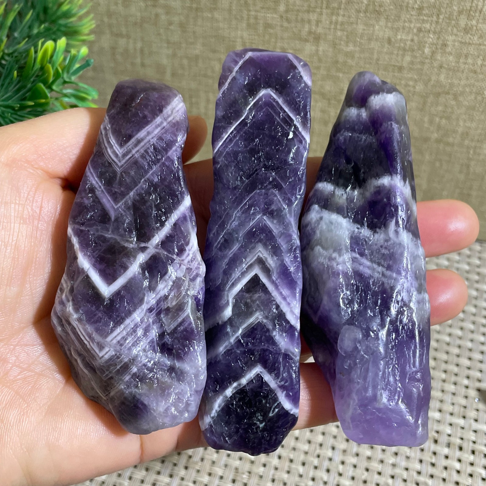 3pcs 226g Natural Dreamy Amethyst Crushed stone crystal Energy Mineral Specimen