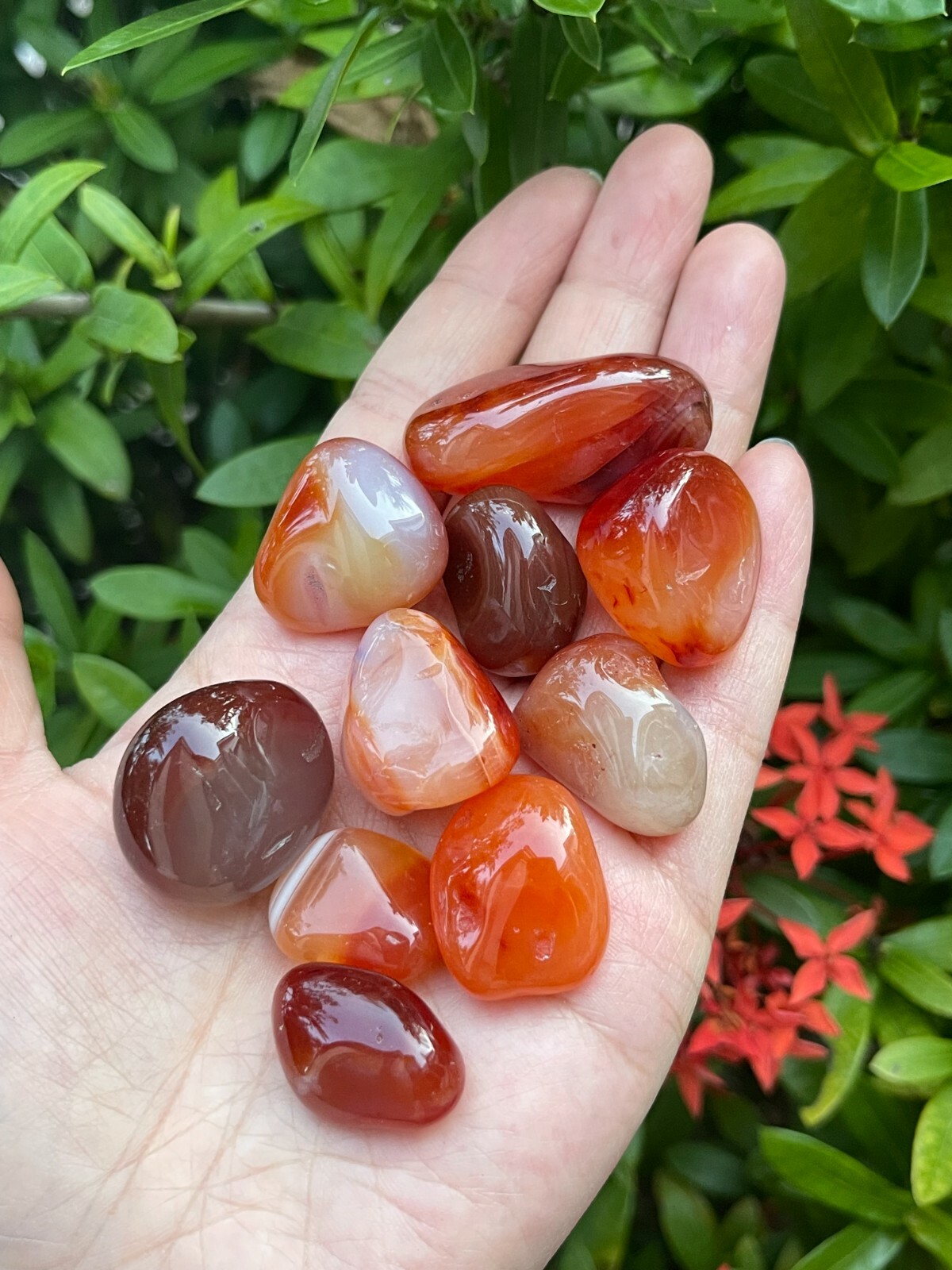 Grade A++ Carnelian Tumbled Stones, 0.75″-1.25″ Tumbled Carnelian, Pick a Weight