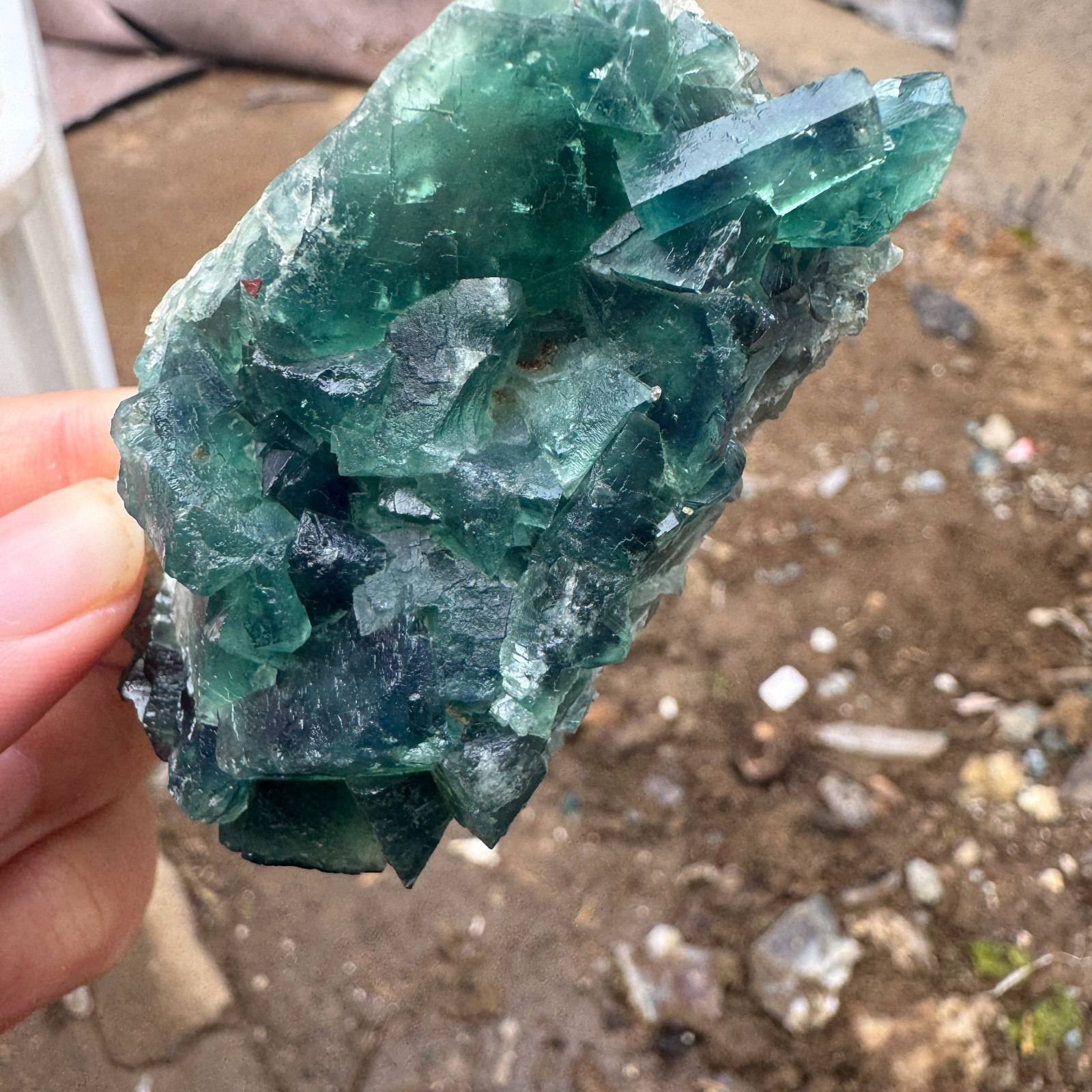 115G Natural cubic green fluorite crystal cluster rough mineral specimen Healing