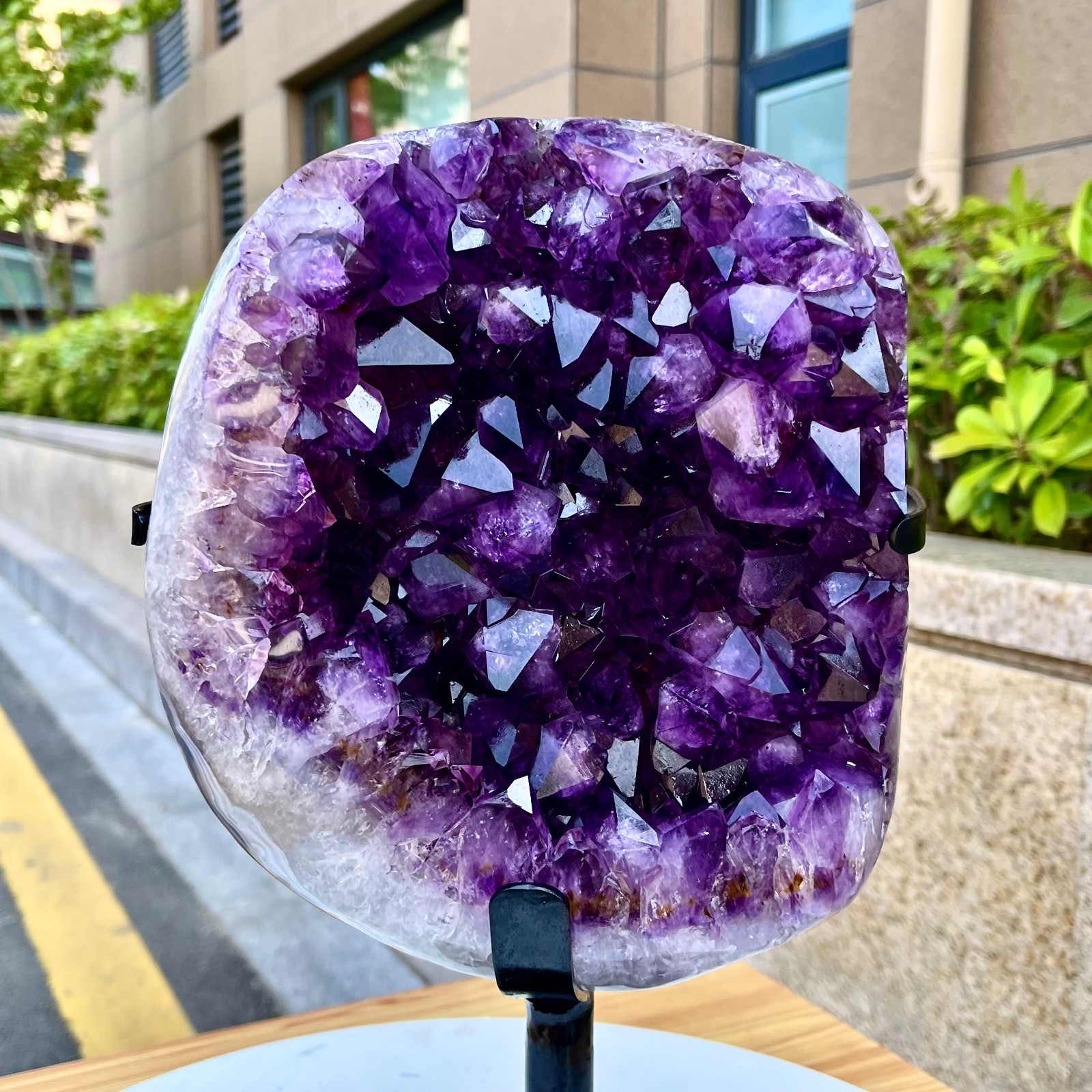 21.71LB Natural Brazilian high-grade amethyst thin skin large teeth