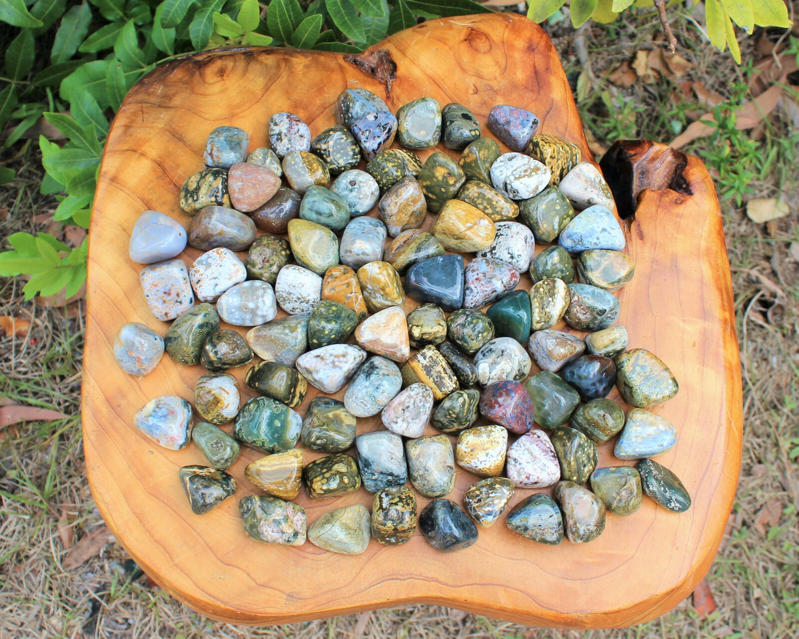 Sea Jasper Tumbled Stones: 10 Piece Lot (Crystal Healing)