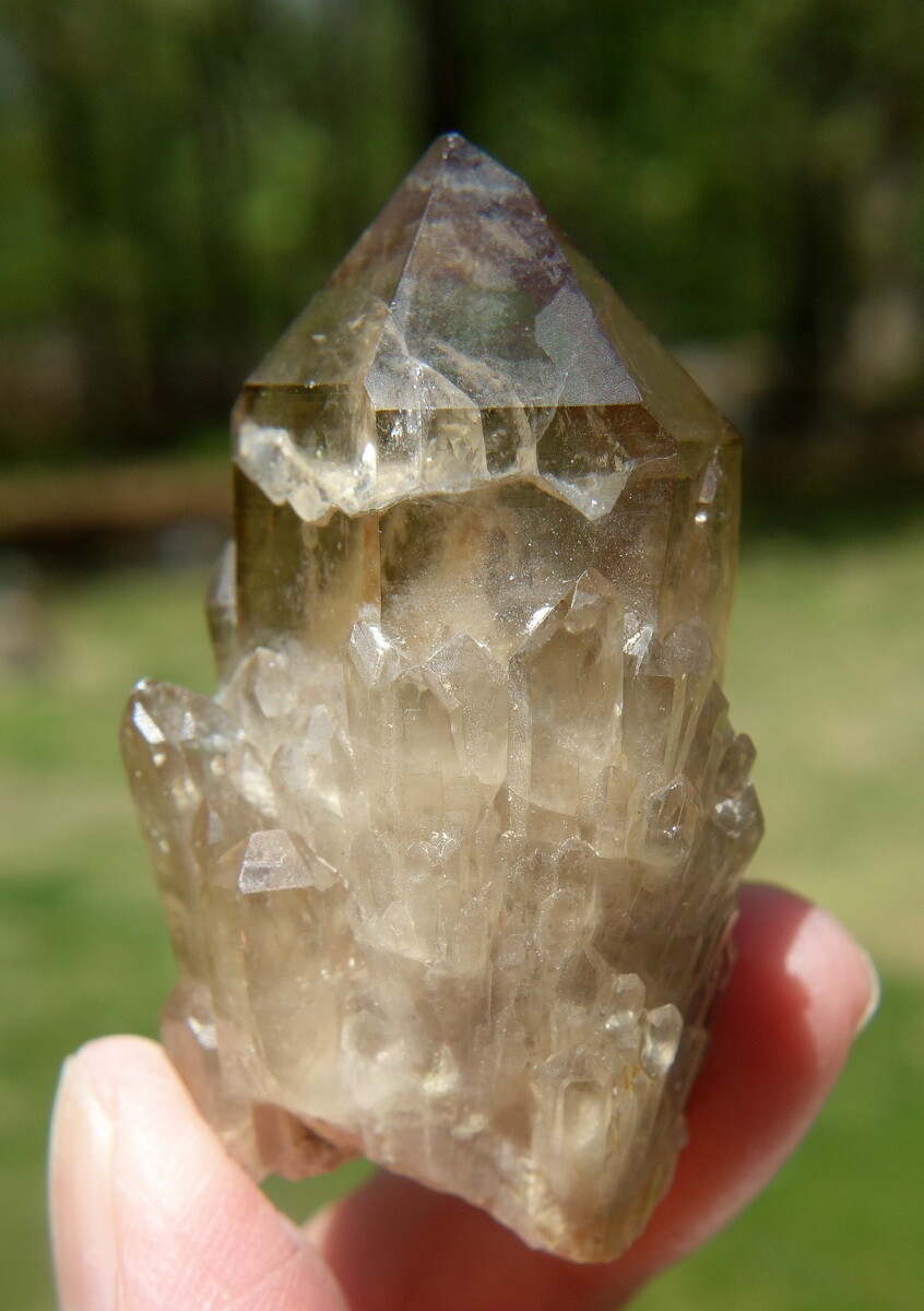 Kundalini Citrine Elestial Crystal Lightbrary Lwena Deposit DRC