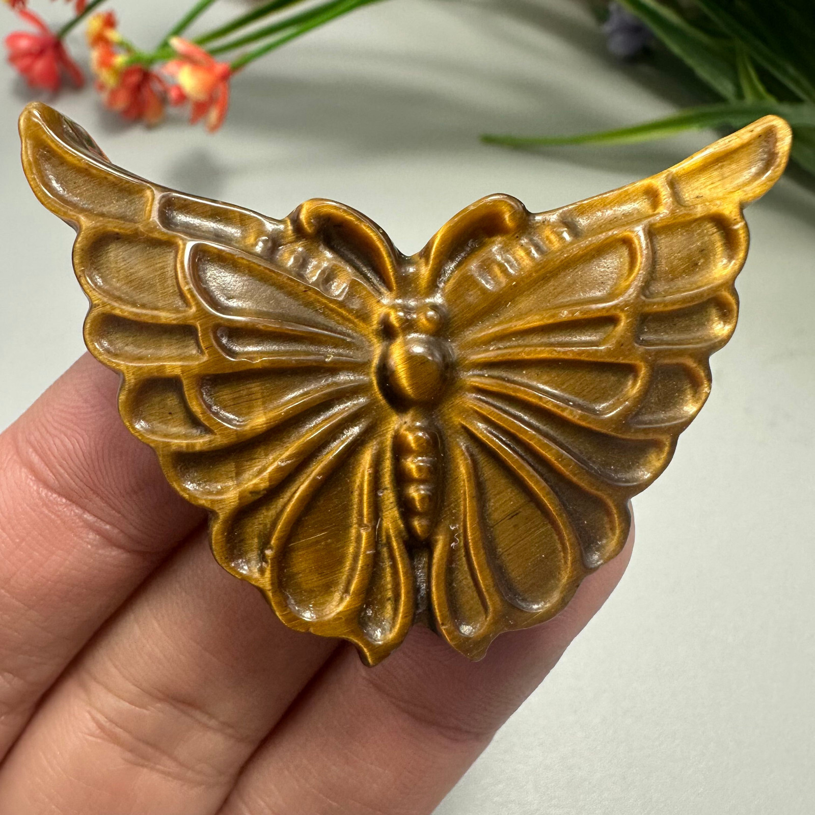 Natural Hand Carved Tiger’s Eye Butterfly Quartz Skull Crystal Reiki Healing 1pc